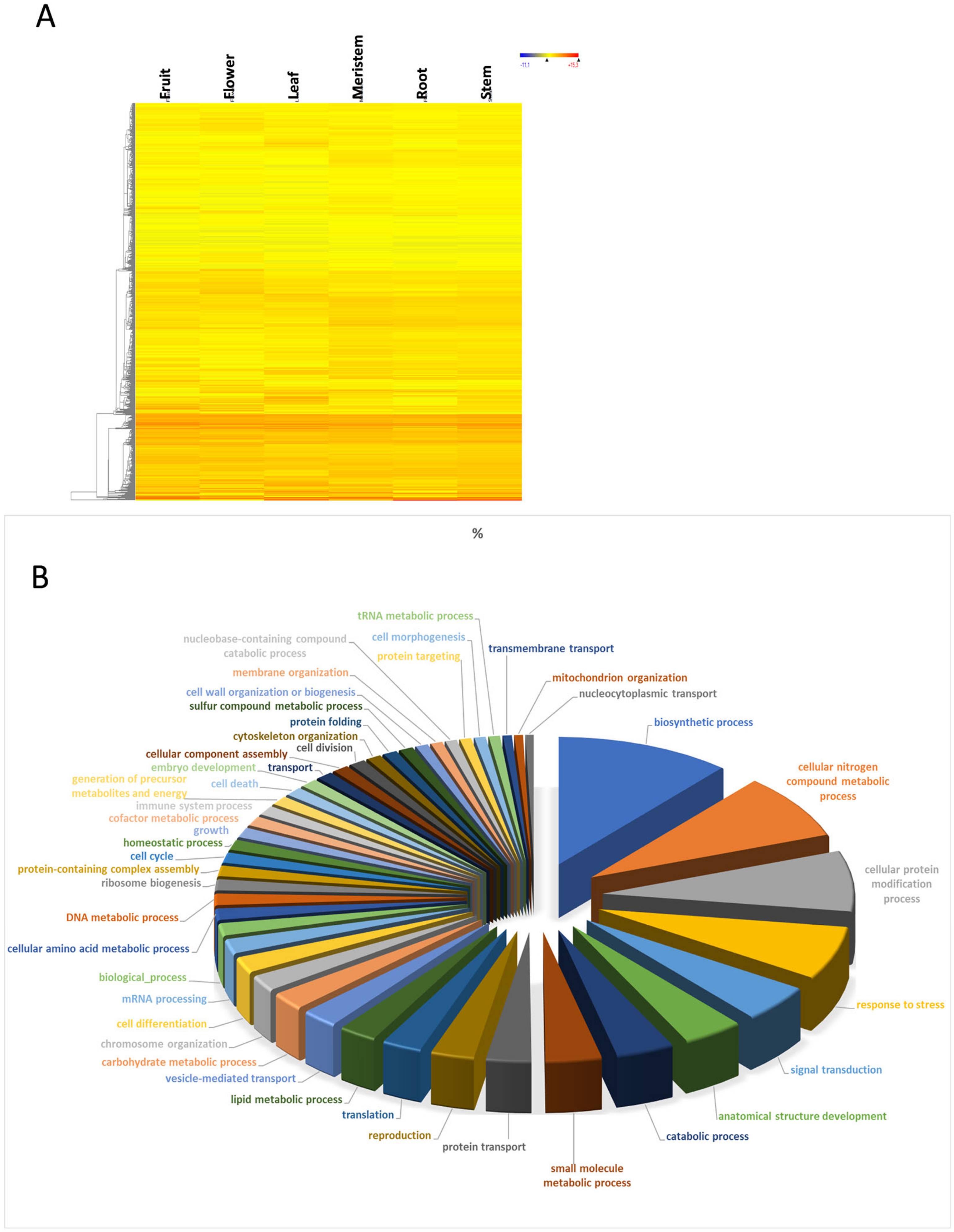 Genes 11 00544 g002