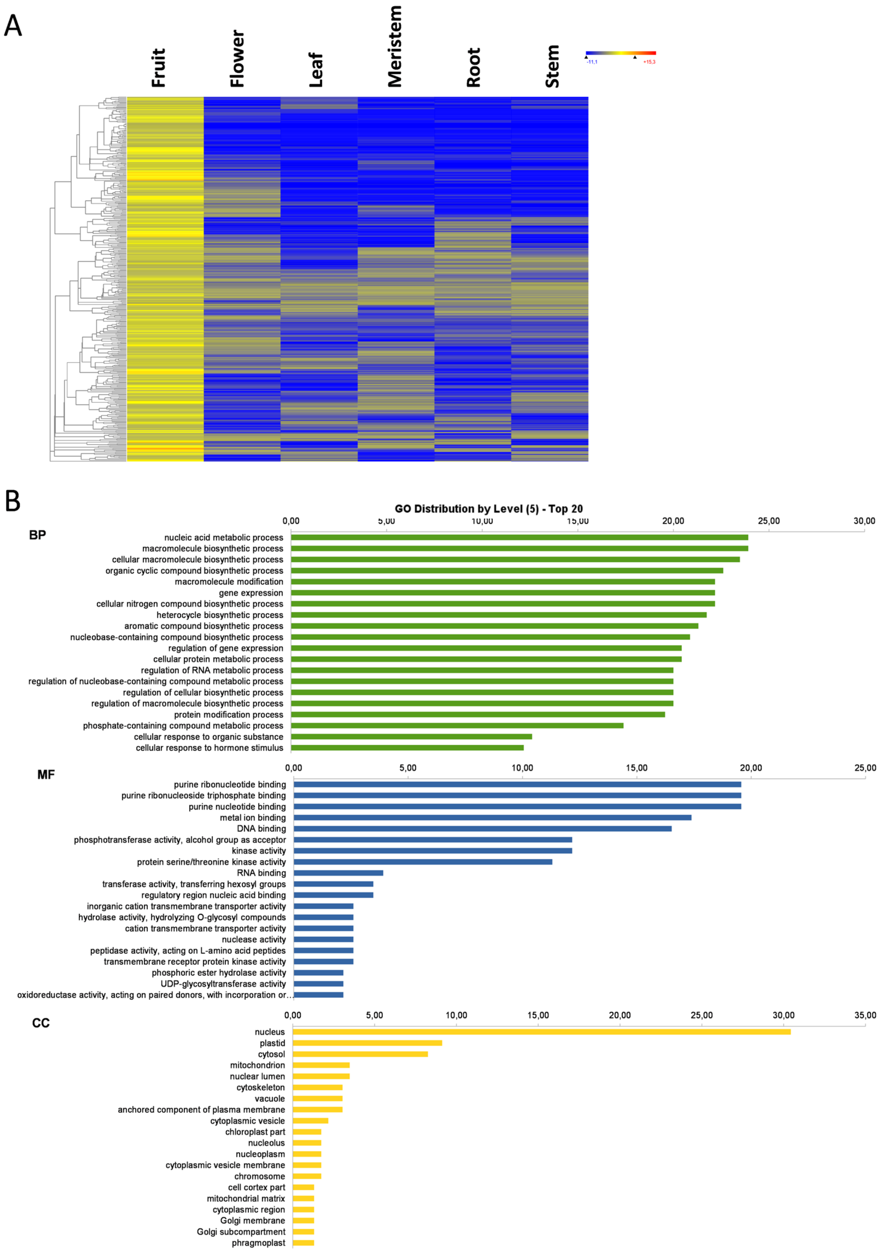 Genes 11 00544 g003a