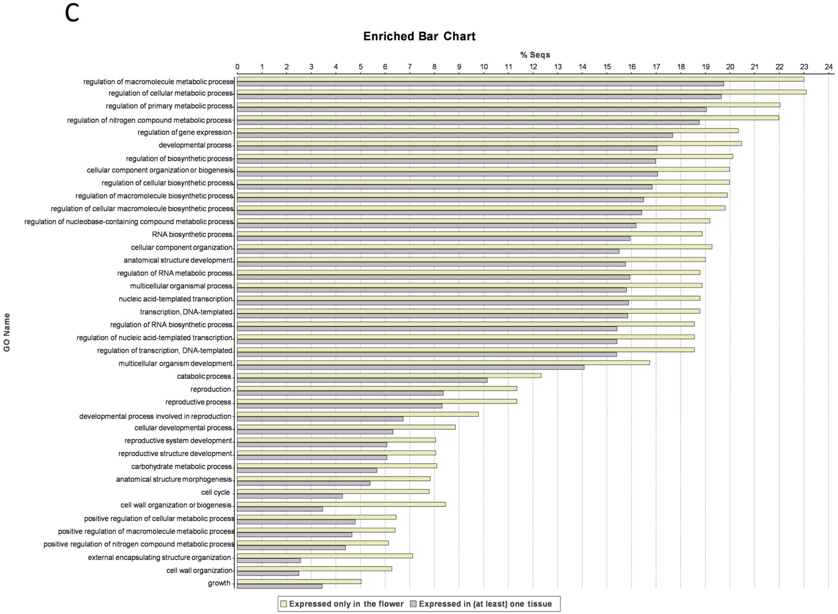 Genes 11 00544 g004b