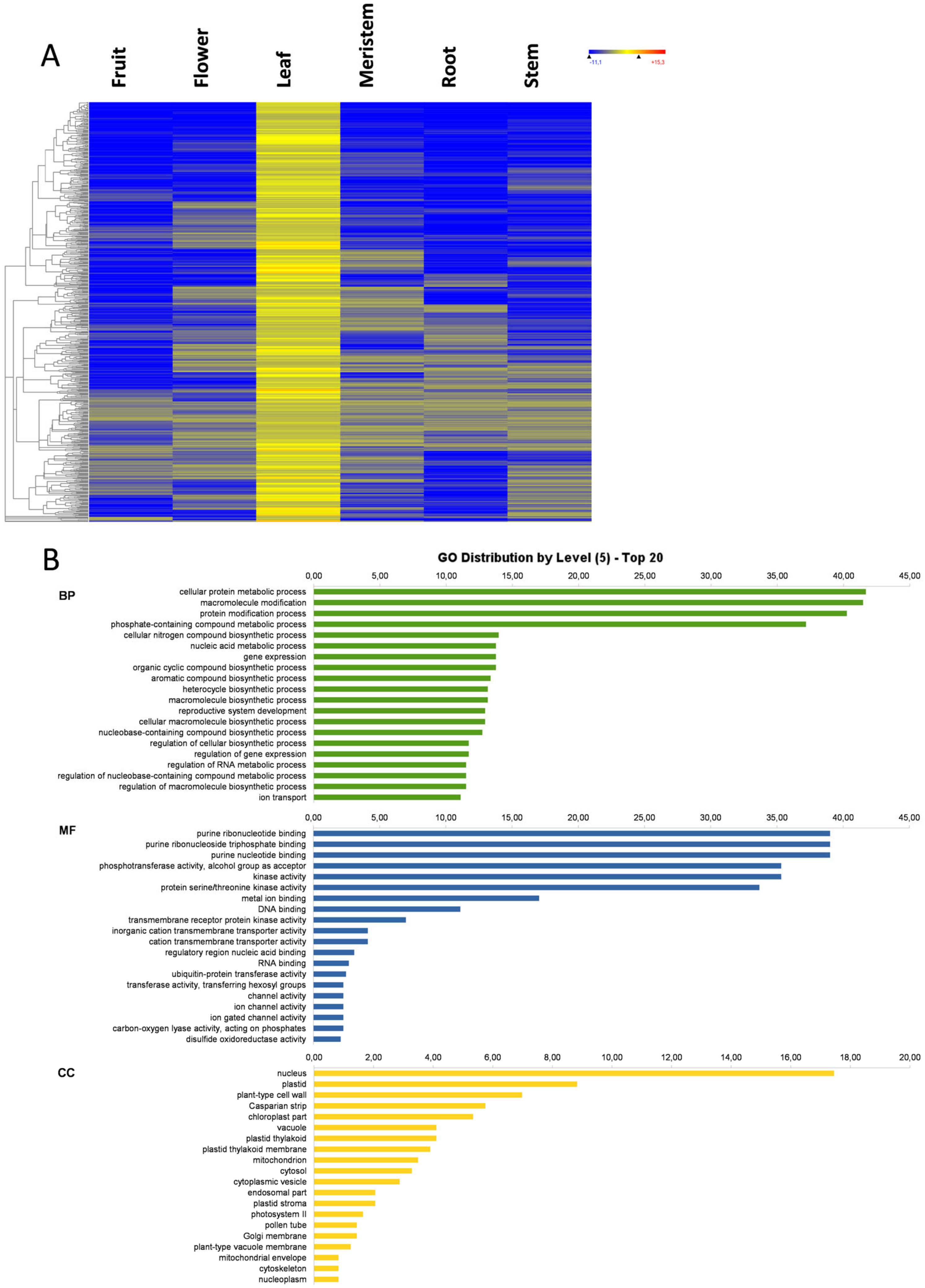Genes 11 00544 g005a
