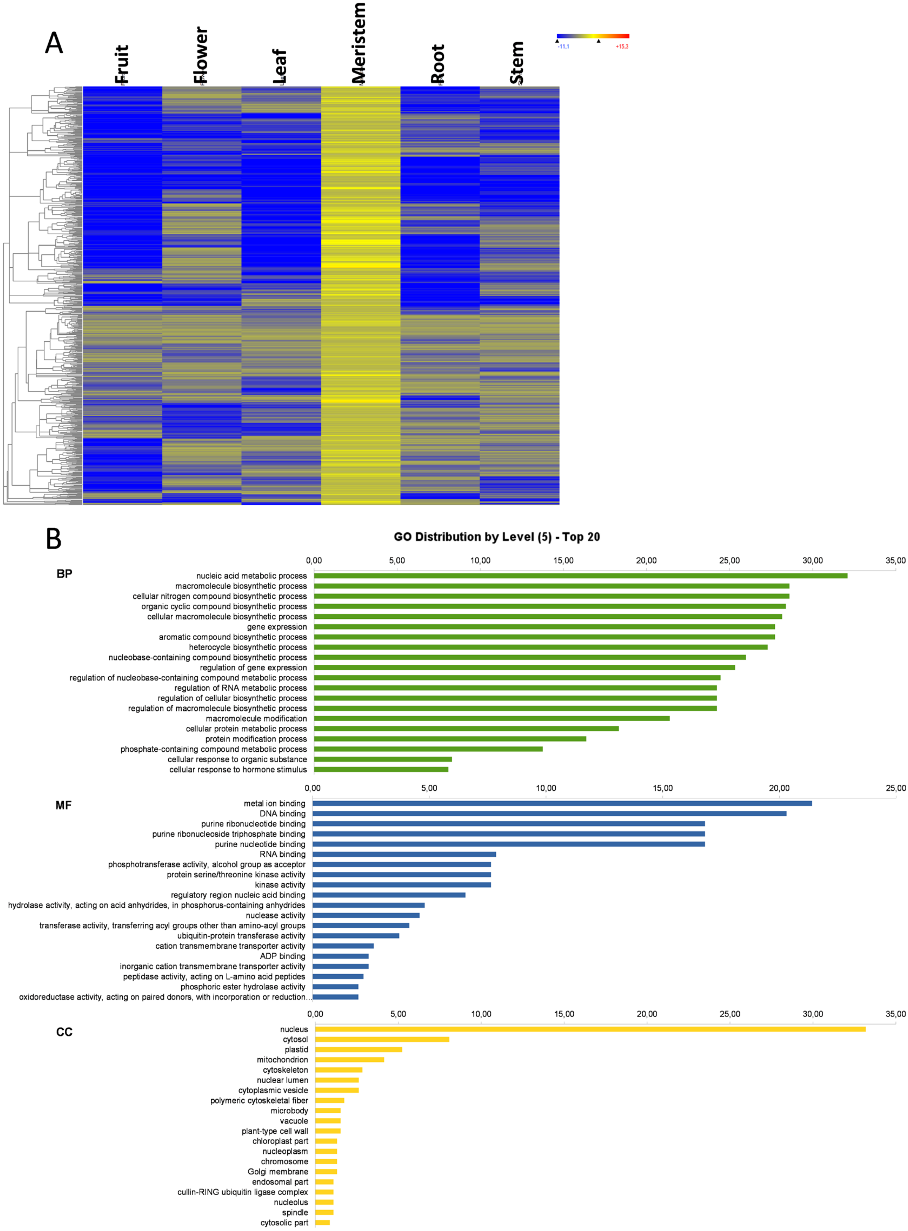 Genes 11 00544 g006a