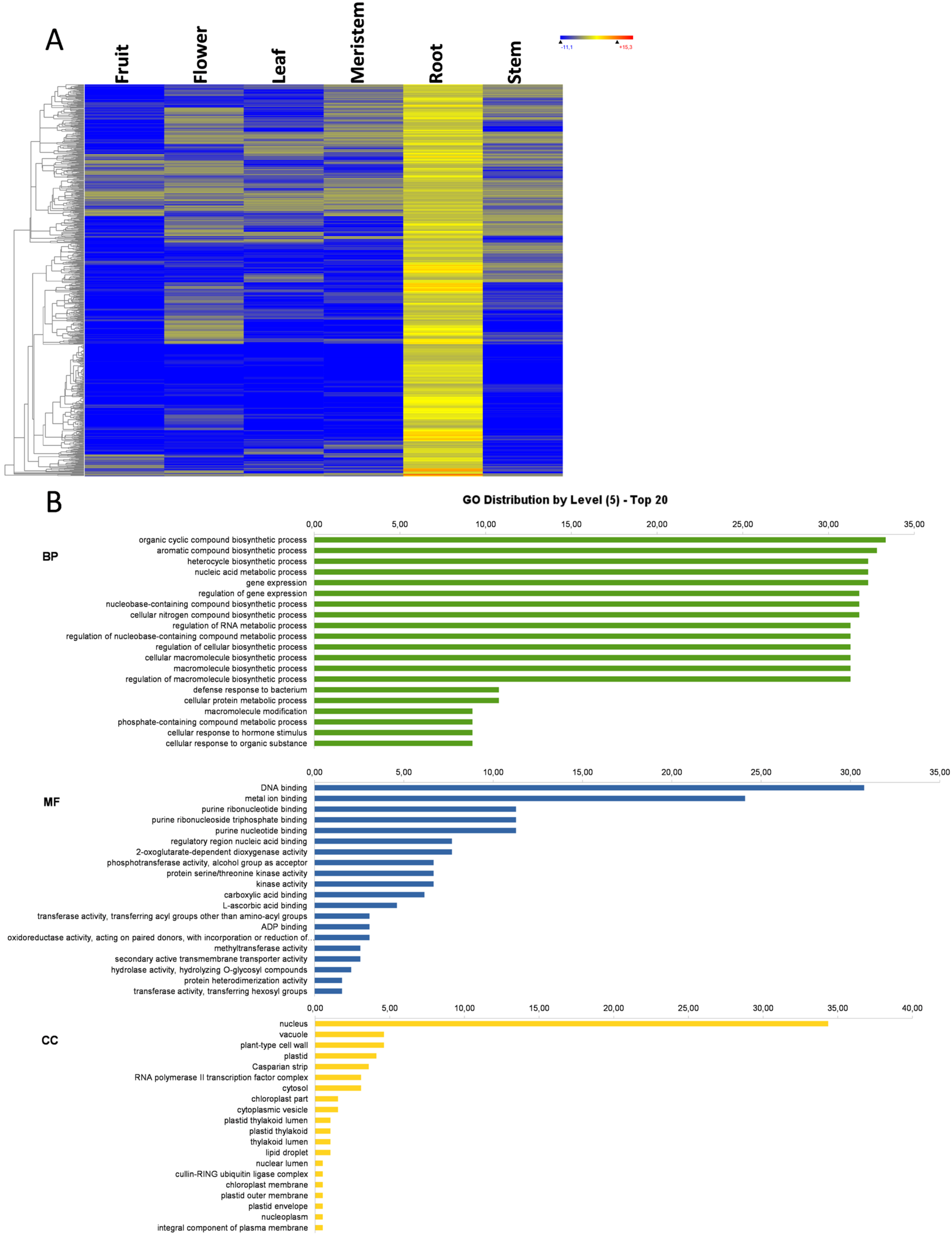 Genes 11 00544 g007a