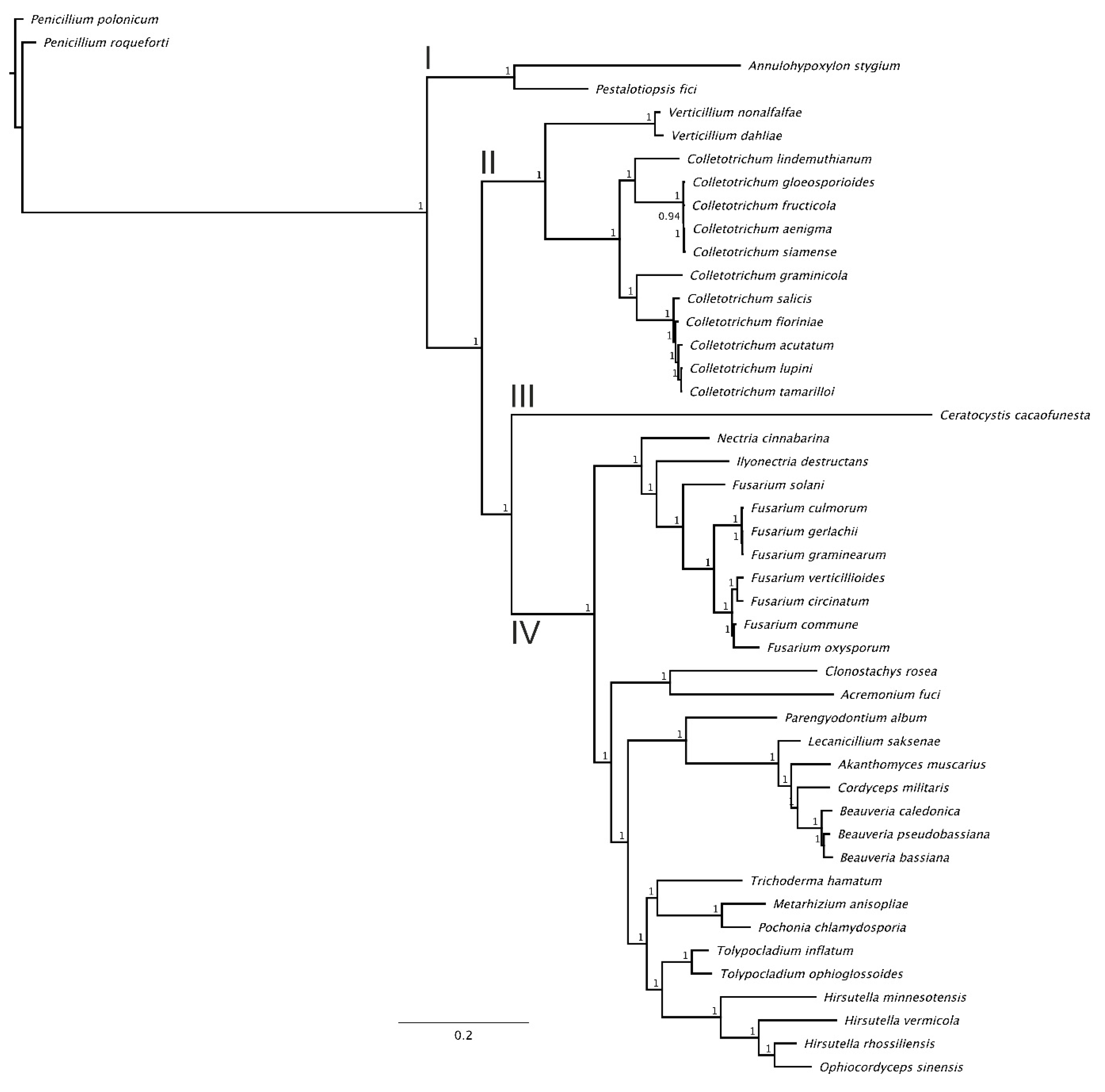 Genes 11 00552 g003 Genes 11 00552 g003