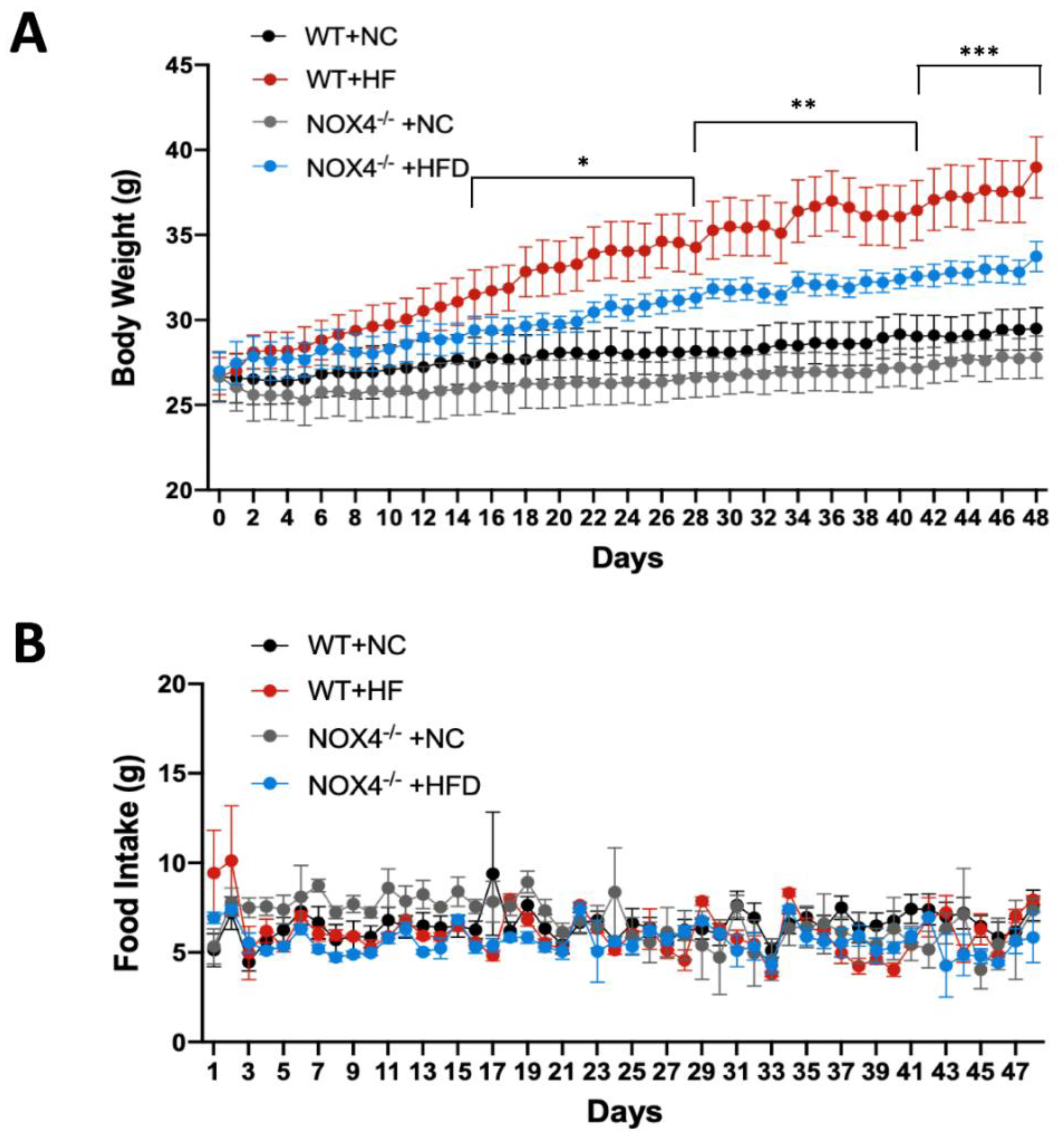 Genes 11 00567 g002