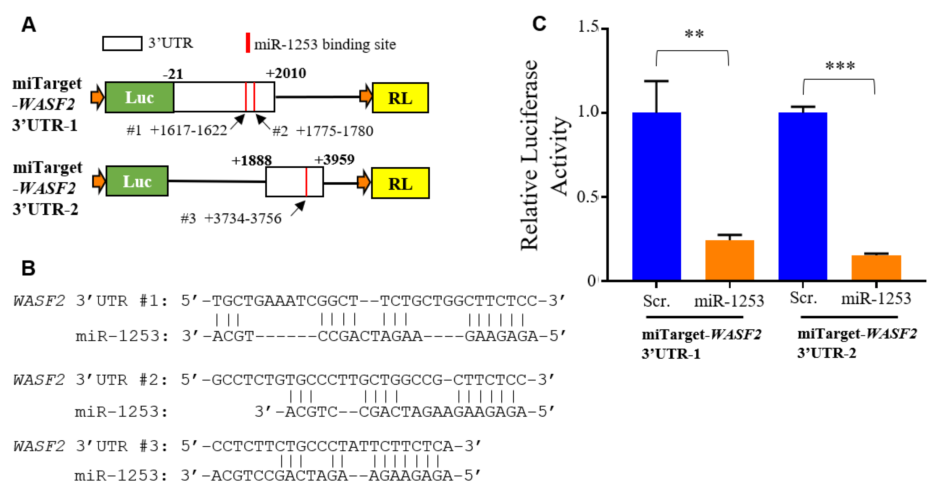Genes 11 00572 g003 Genes 11 00572 g003