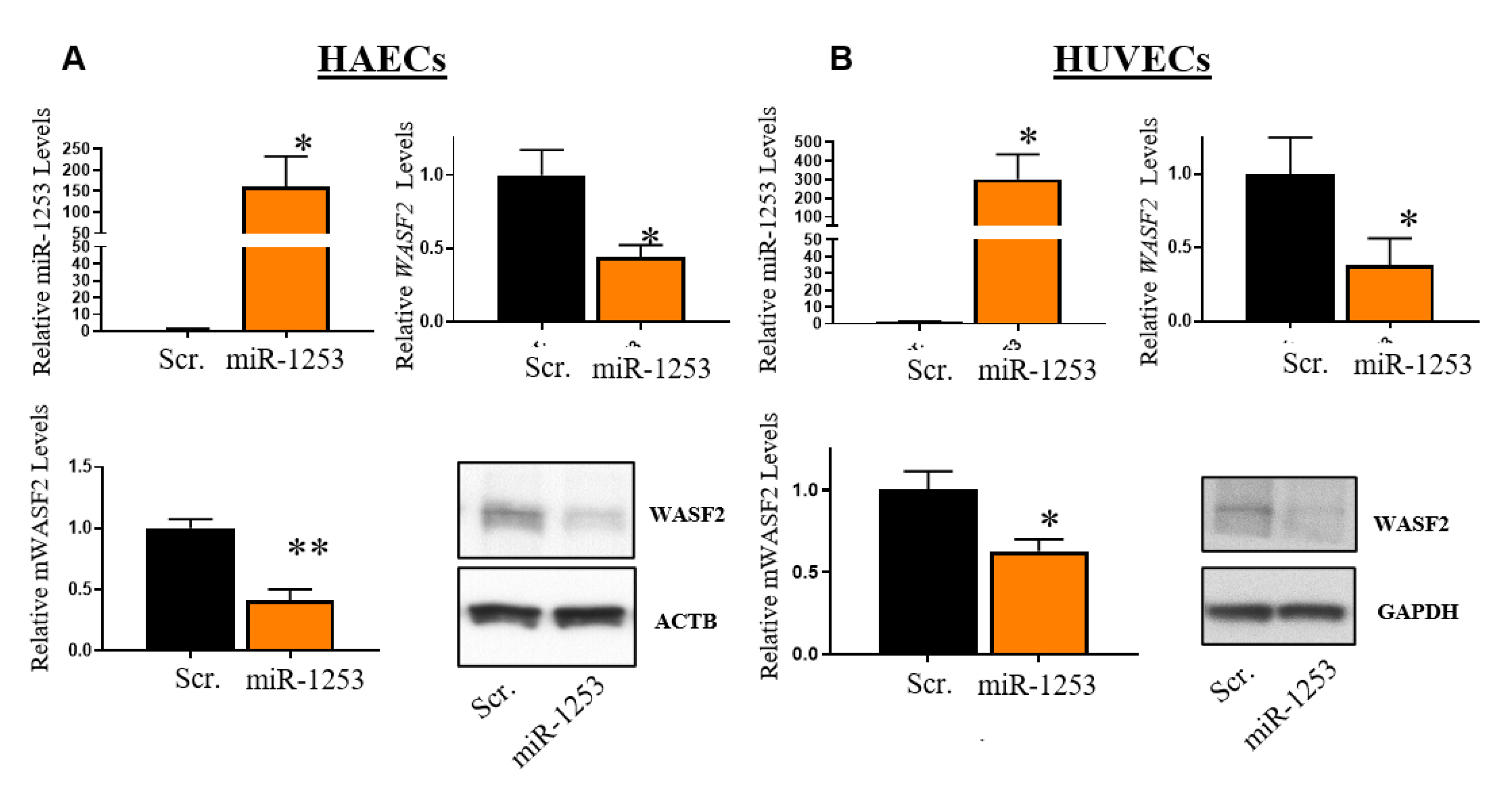 Genes 11 00572 g004 Genes 11 00572 g004