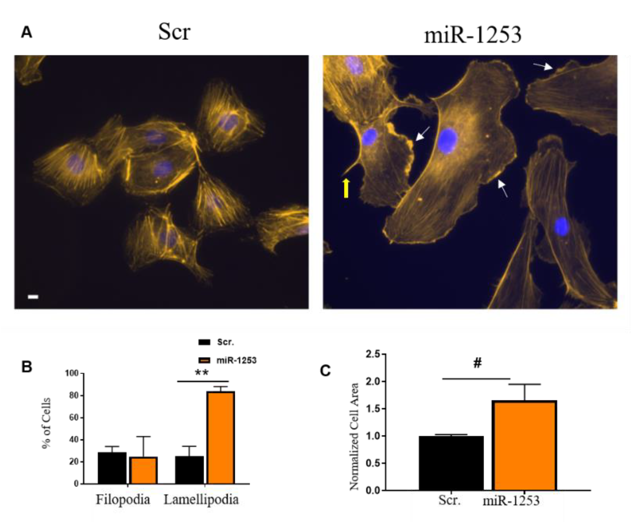 Genes 11 00572 g005 Genes 11 00572 g005