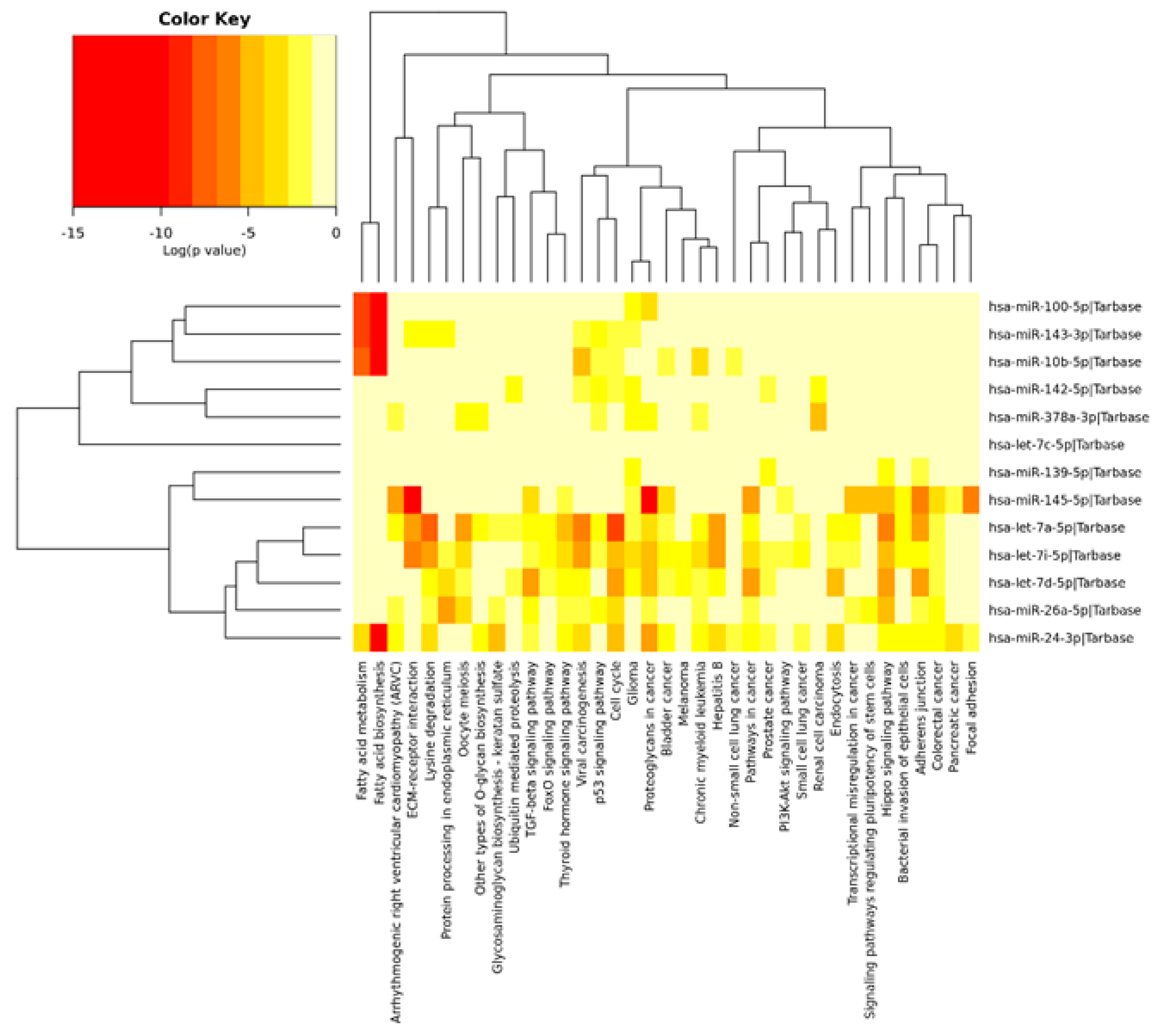 Genes 11 00600 g005 Genes 11 00600 g005