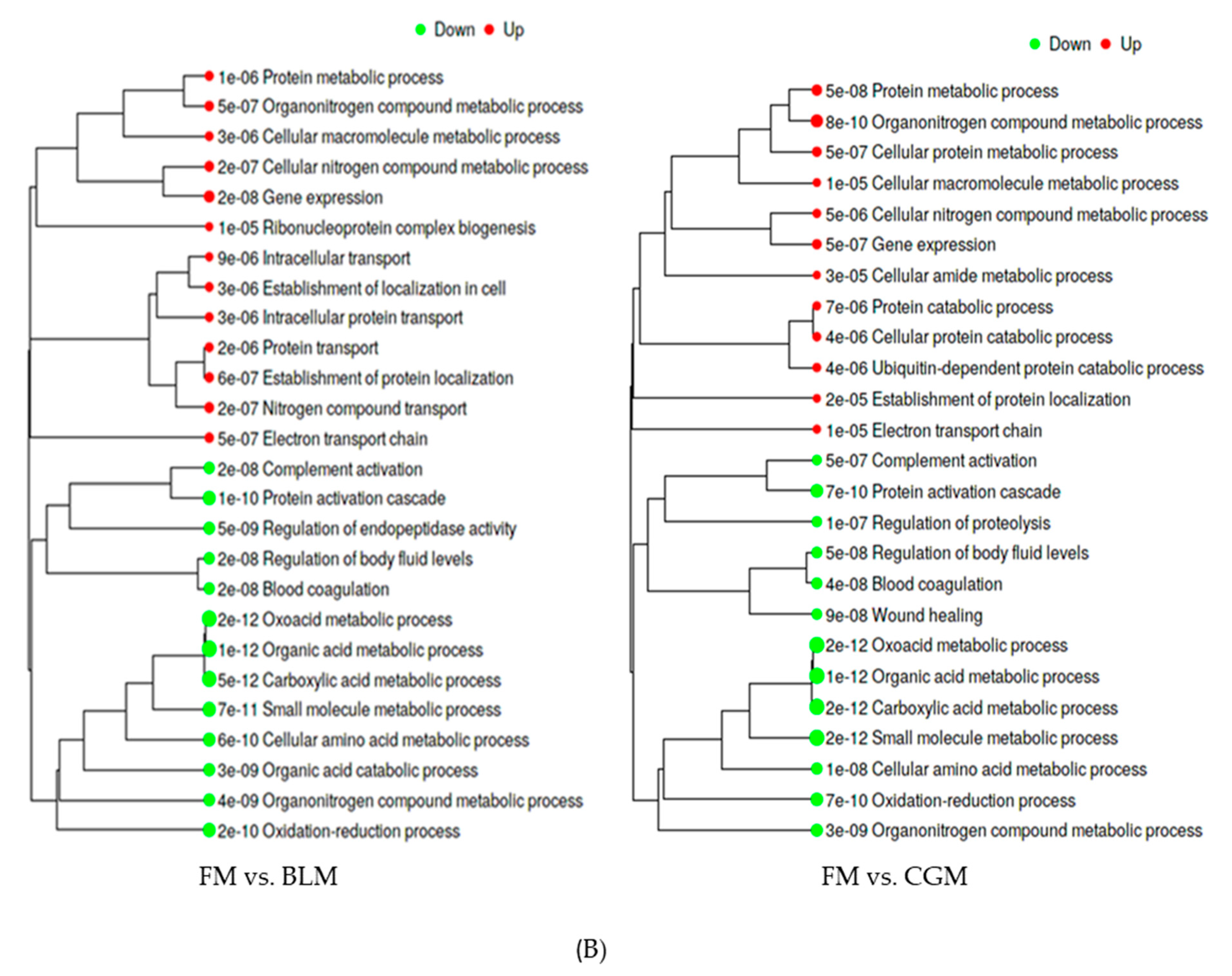 Genes 11 00621 g002b