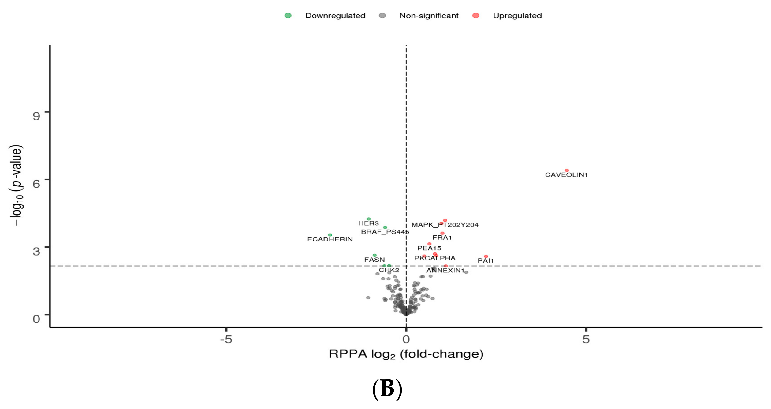 Genes 11 00623 g005b
