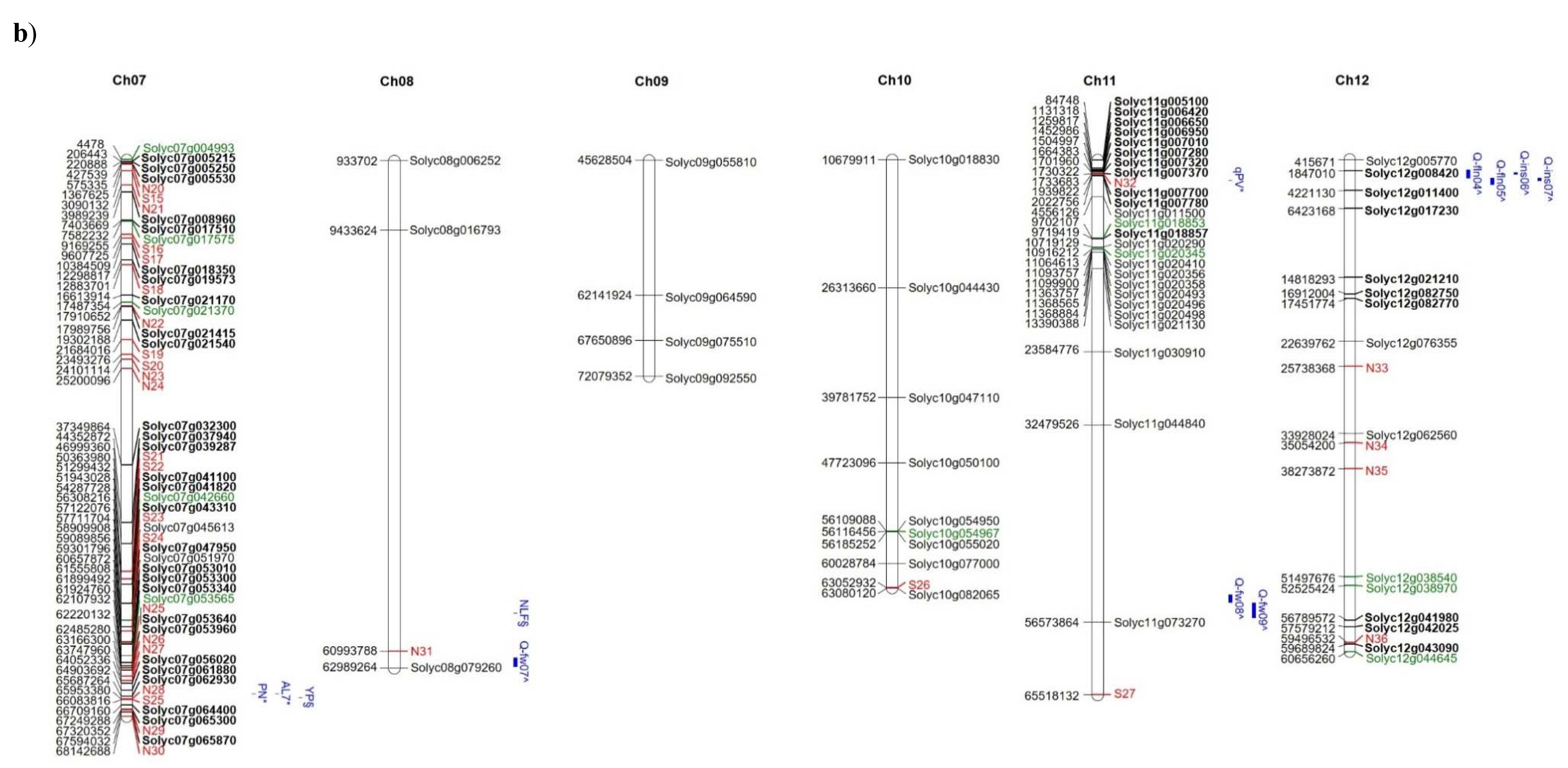 Genes 11 00626 g005b Genes 11 00626 g005b