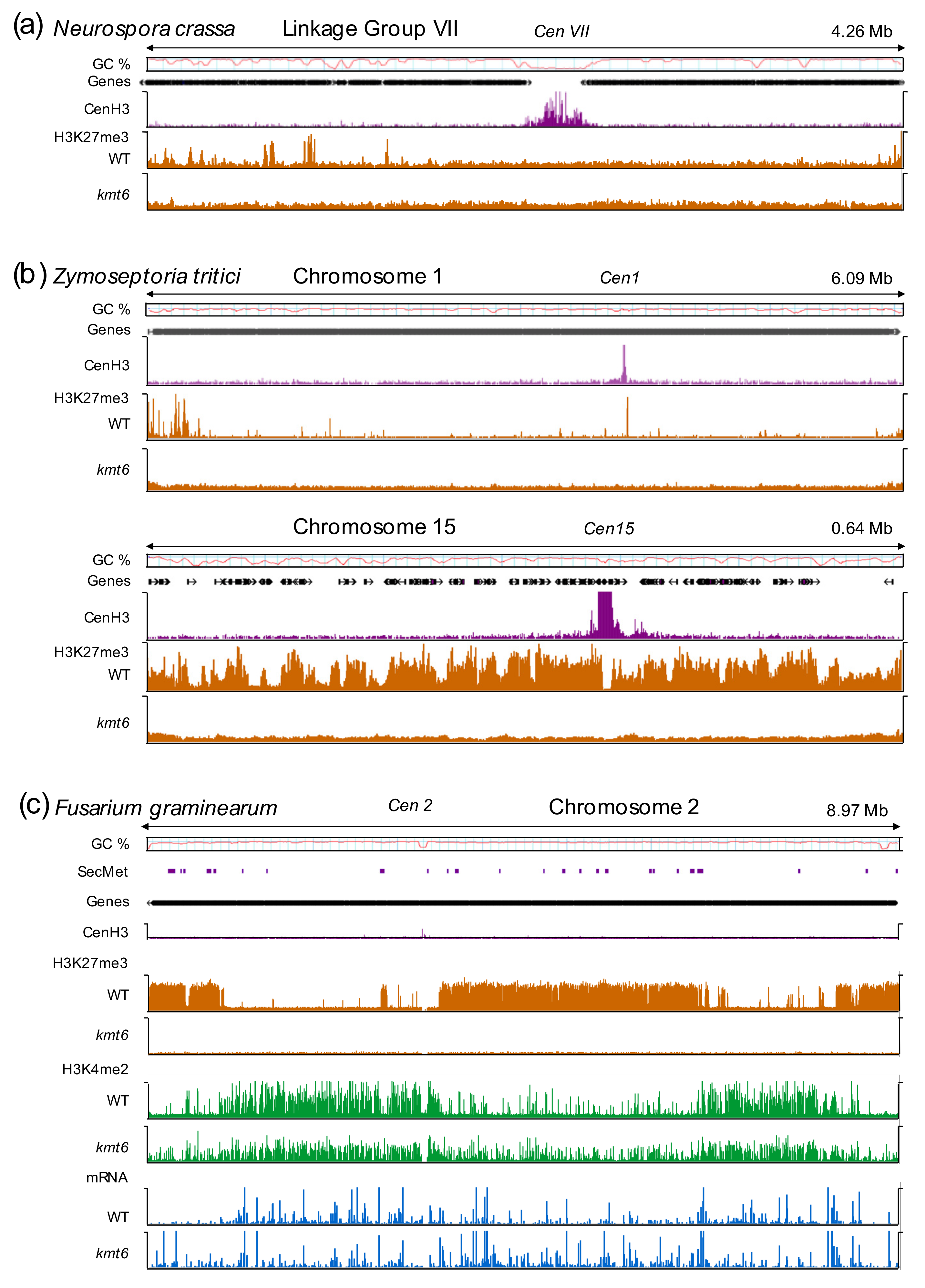 Genes 11 00638 g001 Genes 11 00638 g001