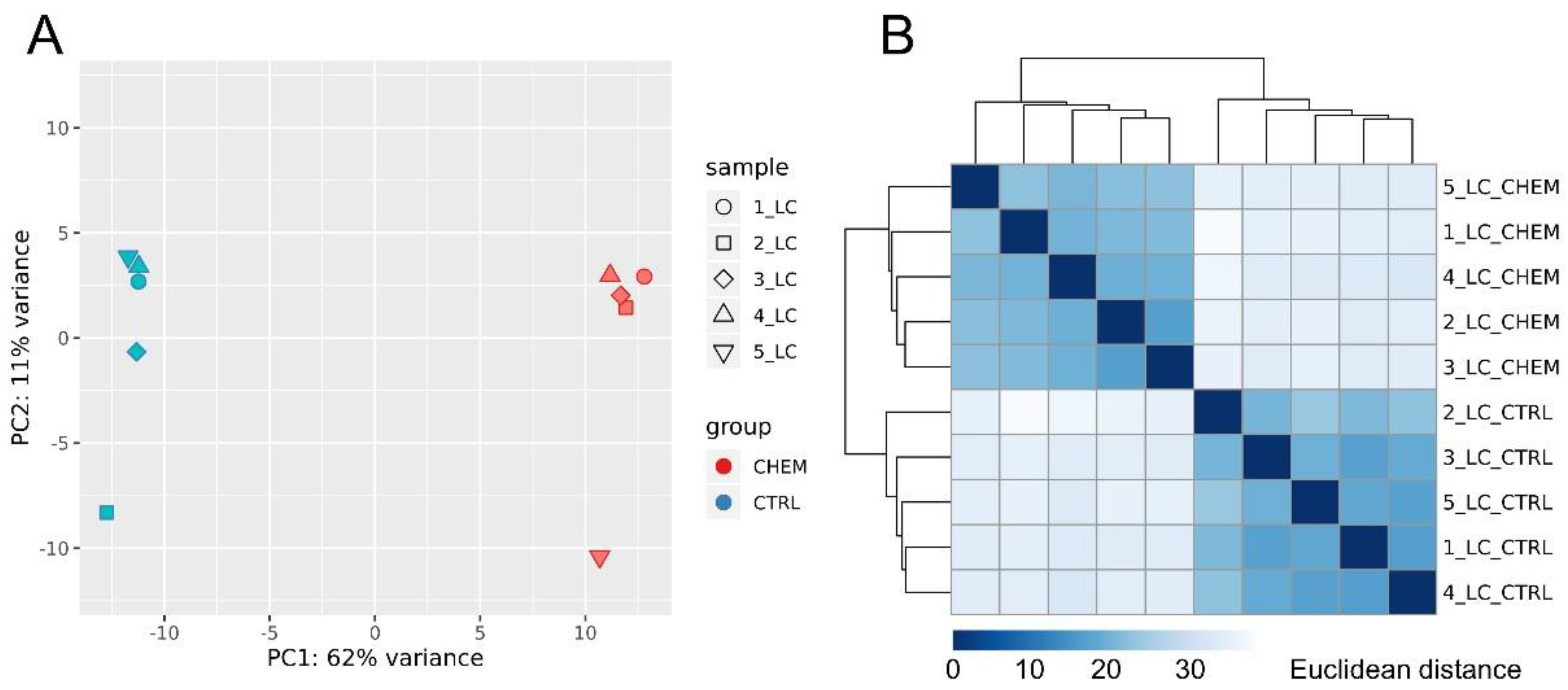 Genes 11 00651 g003 Genes 11 00651 g003