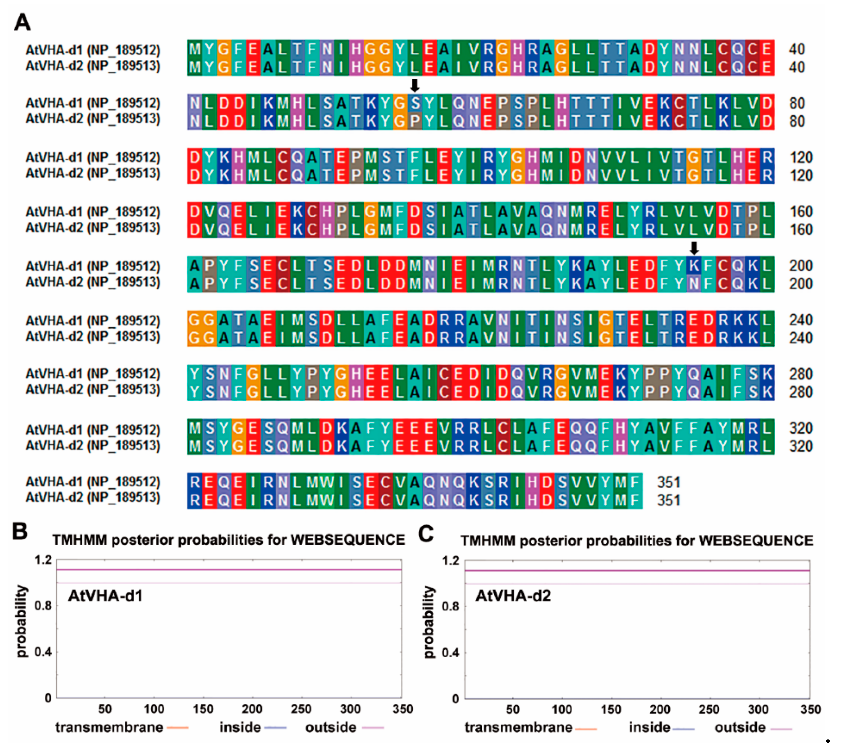 Genes 11 00701 g001 Genes 11 00701 g001