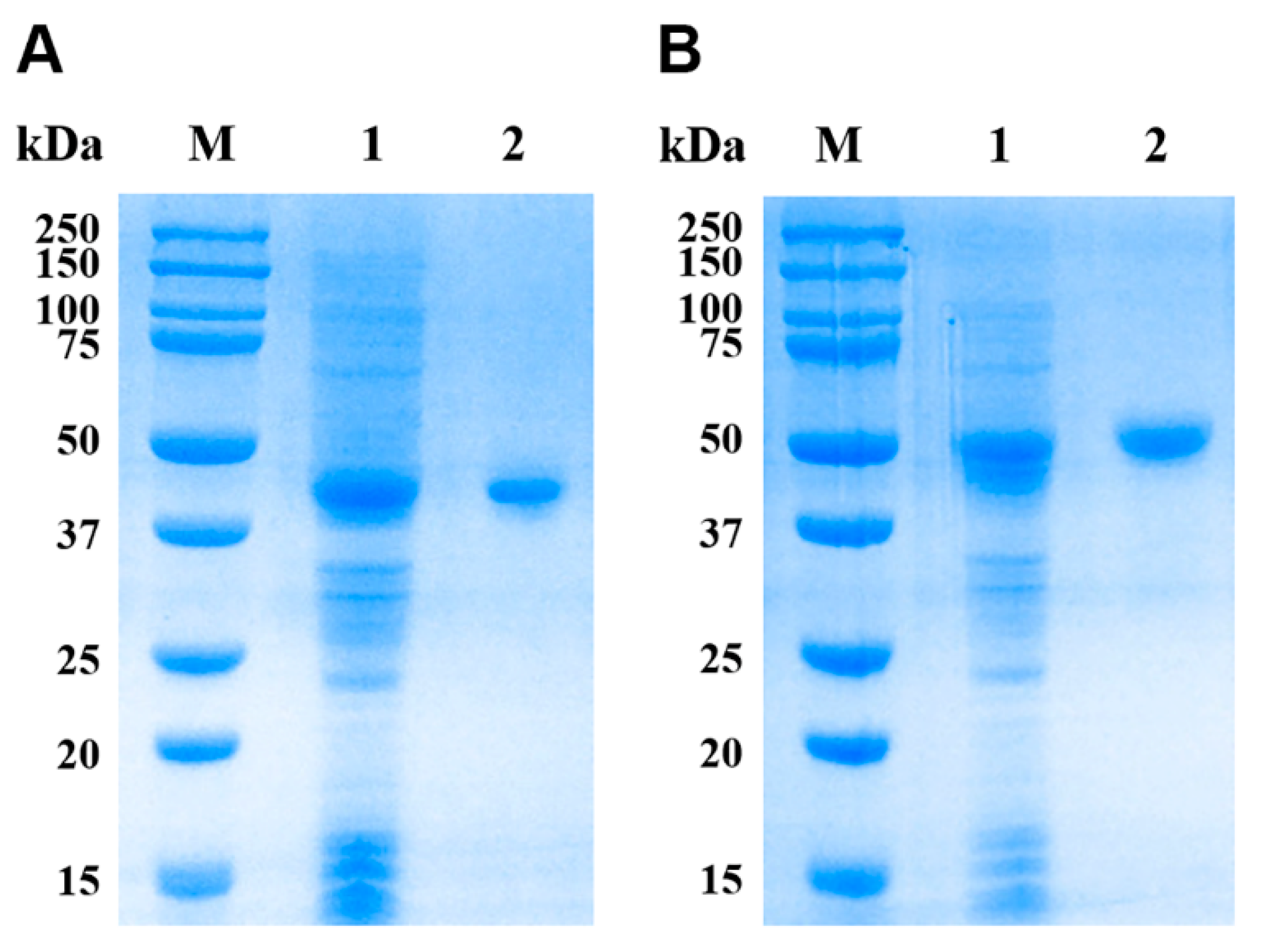 Genes 11 00725 g003 Genes 11 00725 g003