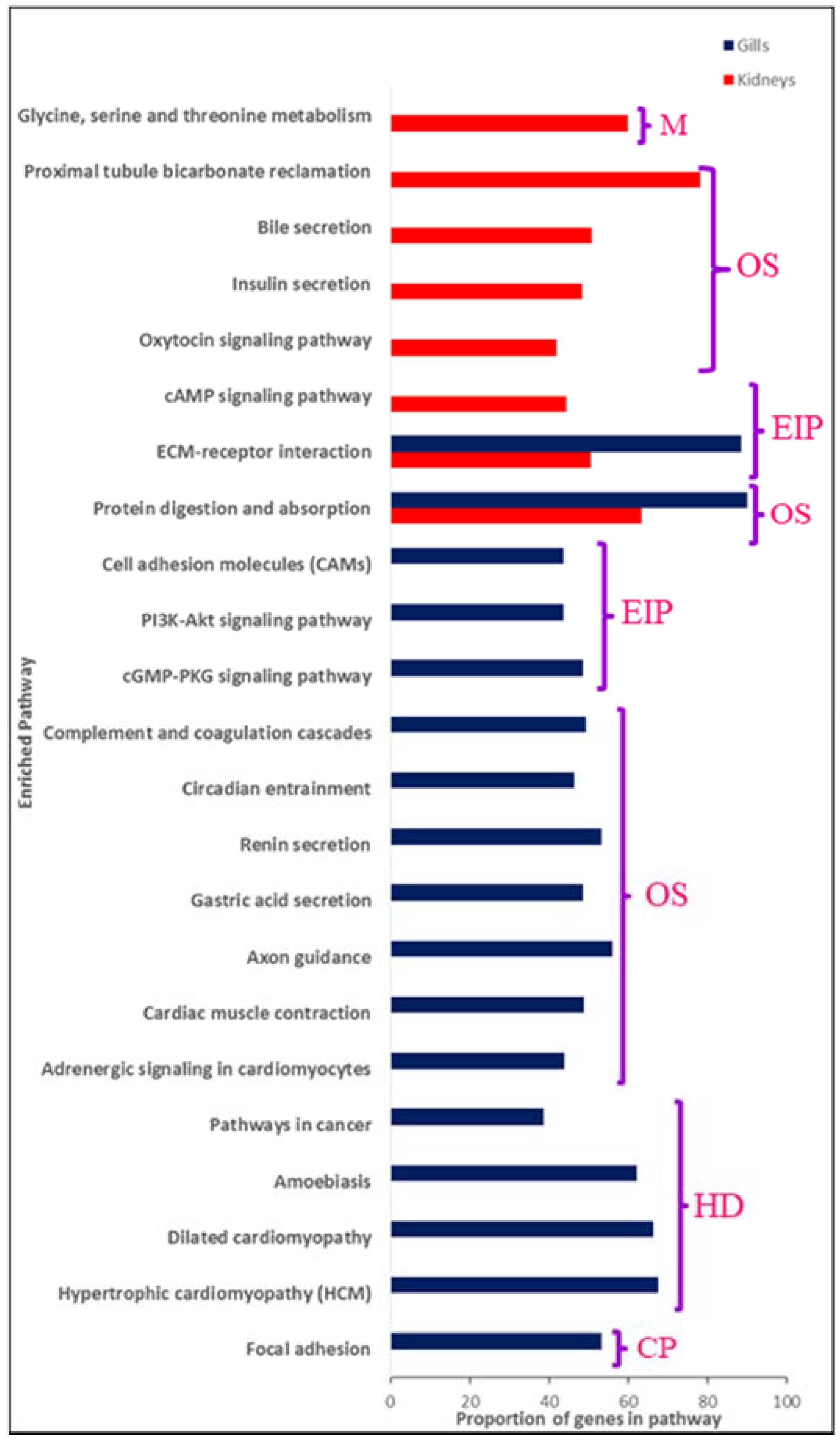 Genes 11 00733 g007 Genes 11 00733 g007