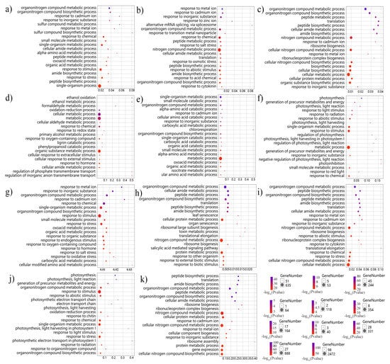 Genes | Free Full-Text | Differential Alternative Splicing Genes 