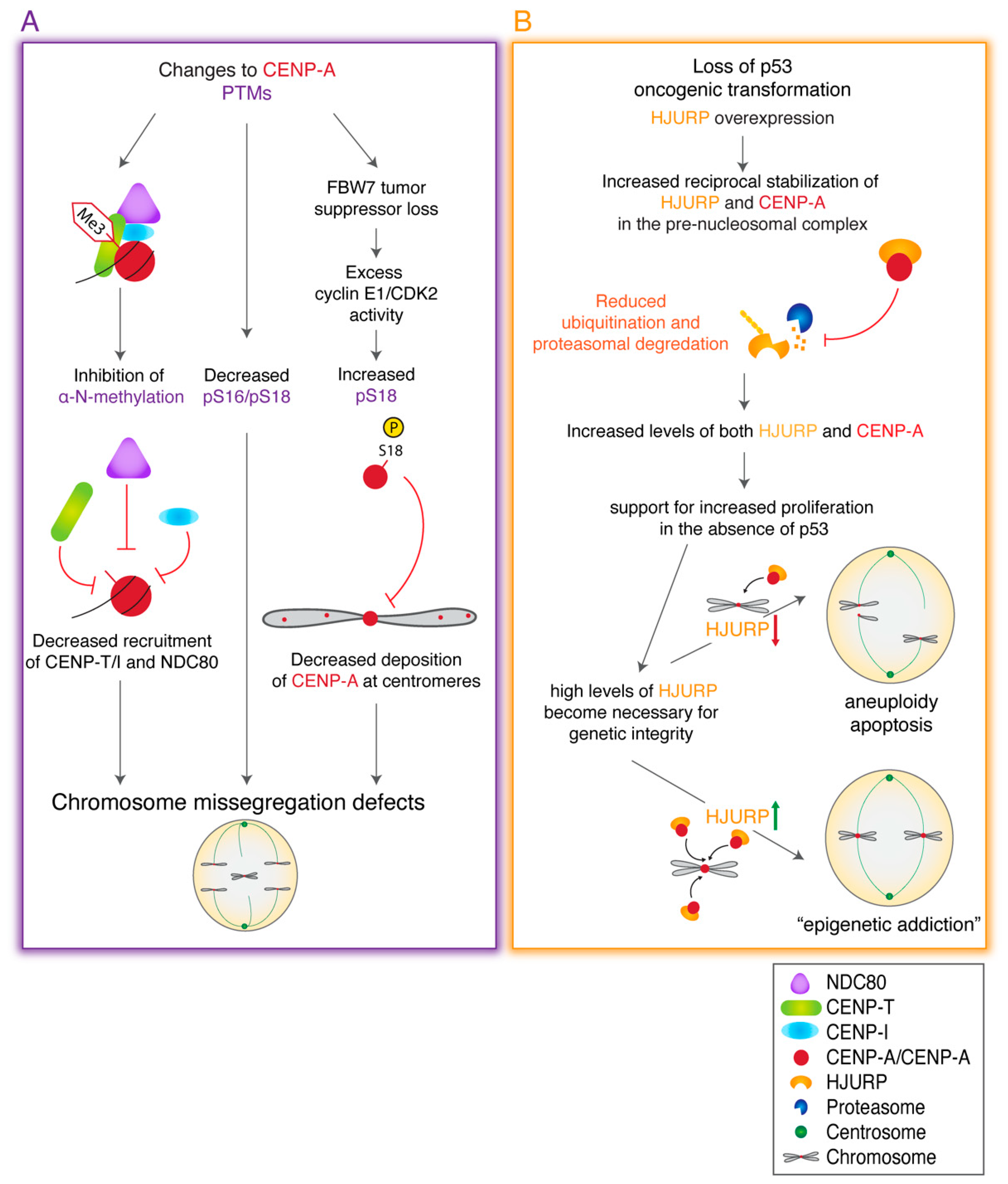 Genes 11 00810 g005 Genes 11 00810 g005