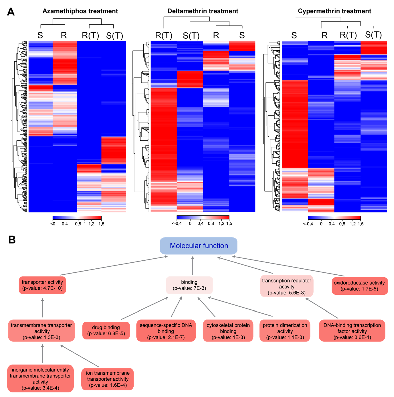 Genes 11 00857 g001 Genes 11 00857 g001