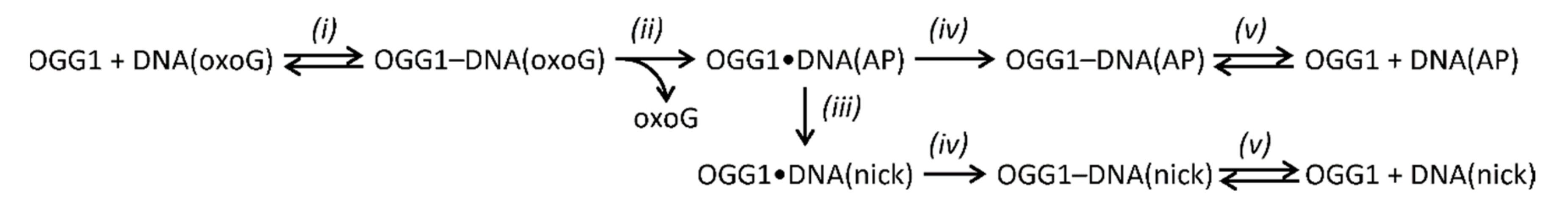 Genes 11 00866 sch001