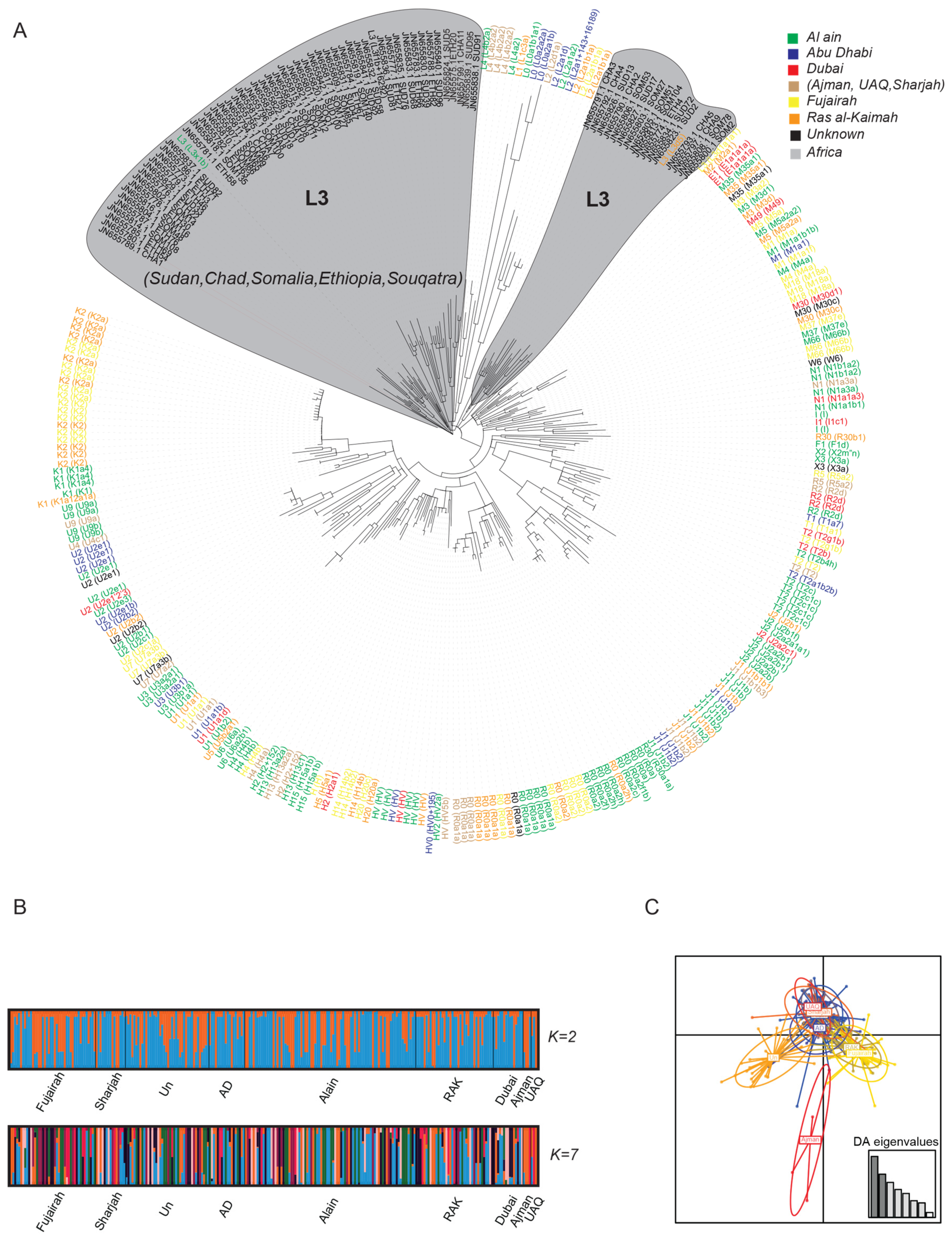 Genes 11 00876 g003