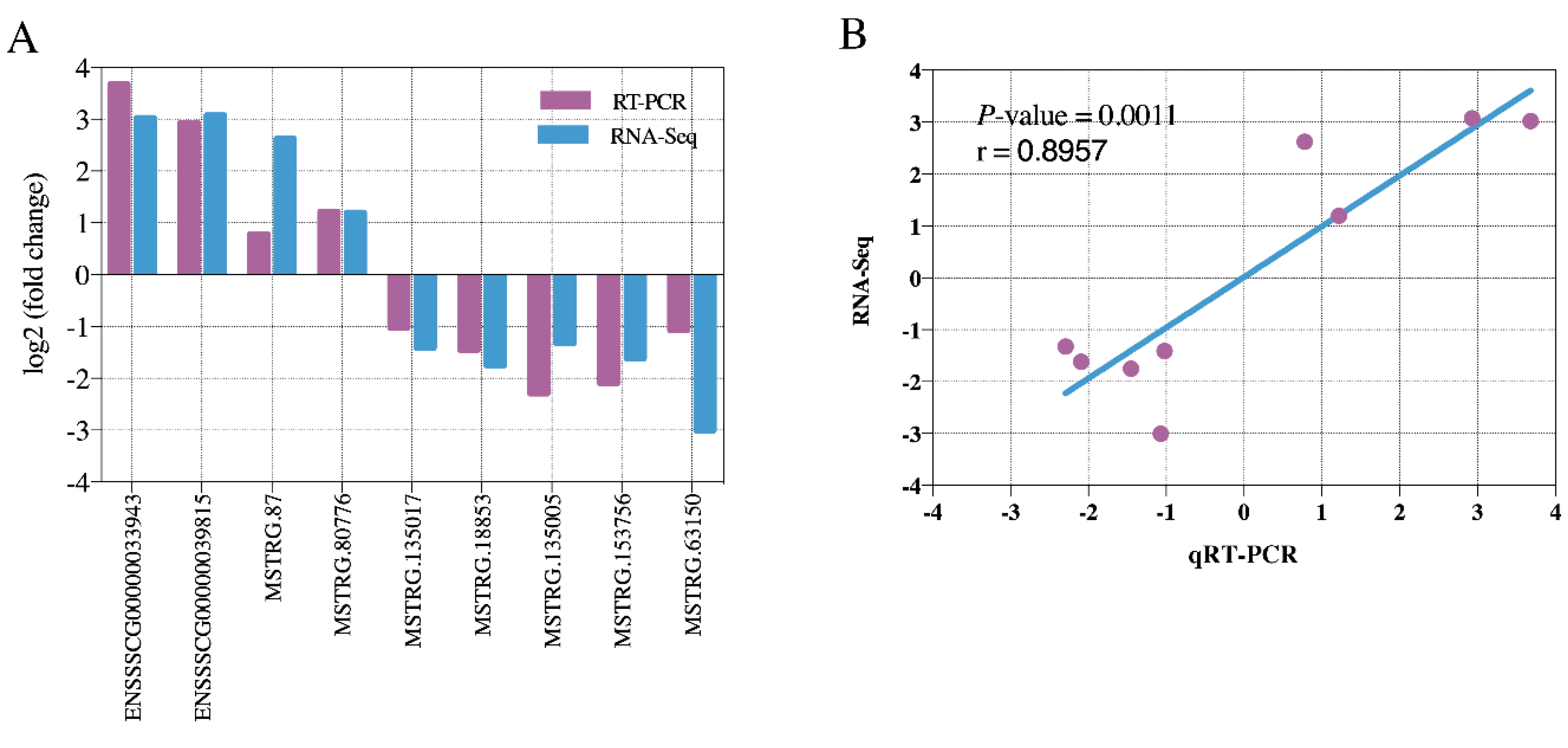 Genes 11 00883 g002