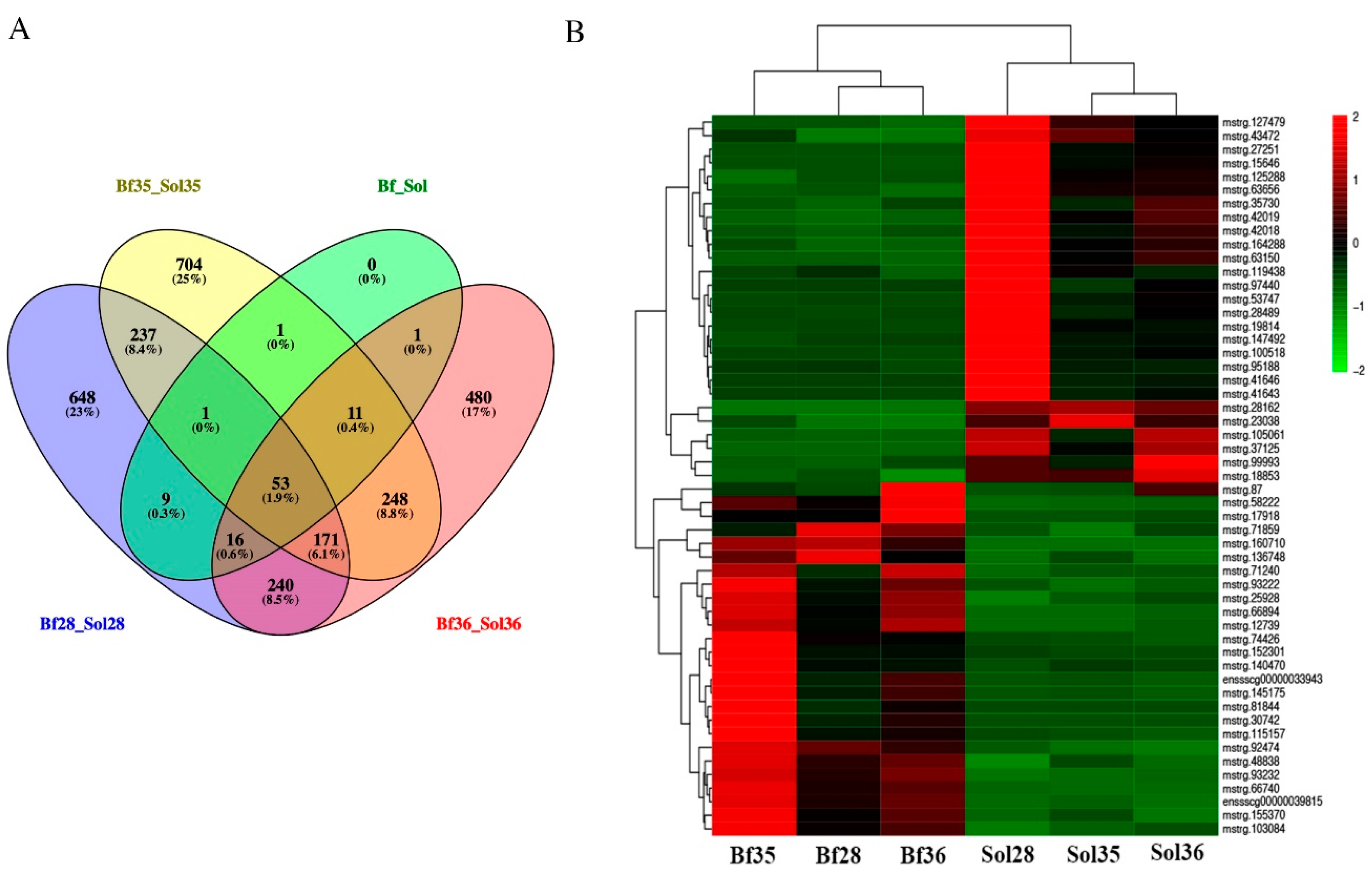 Genes 11 00883 g003