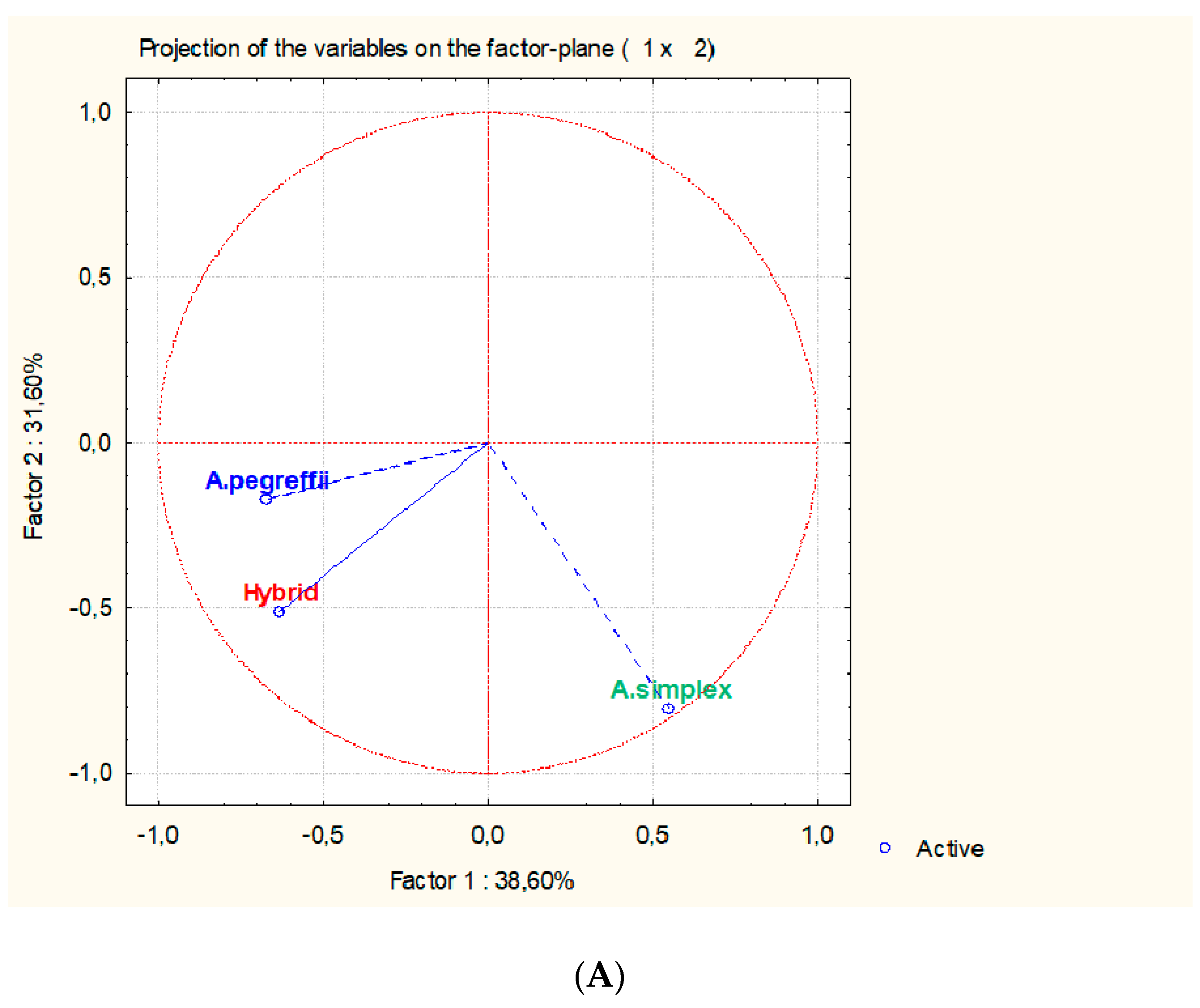 Genes 11 00913 g004a Genes 11 00913 g004a