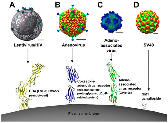 Genes | Free Full-Text | The Evolution of Gene Therapy in the Treatment