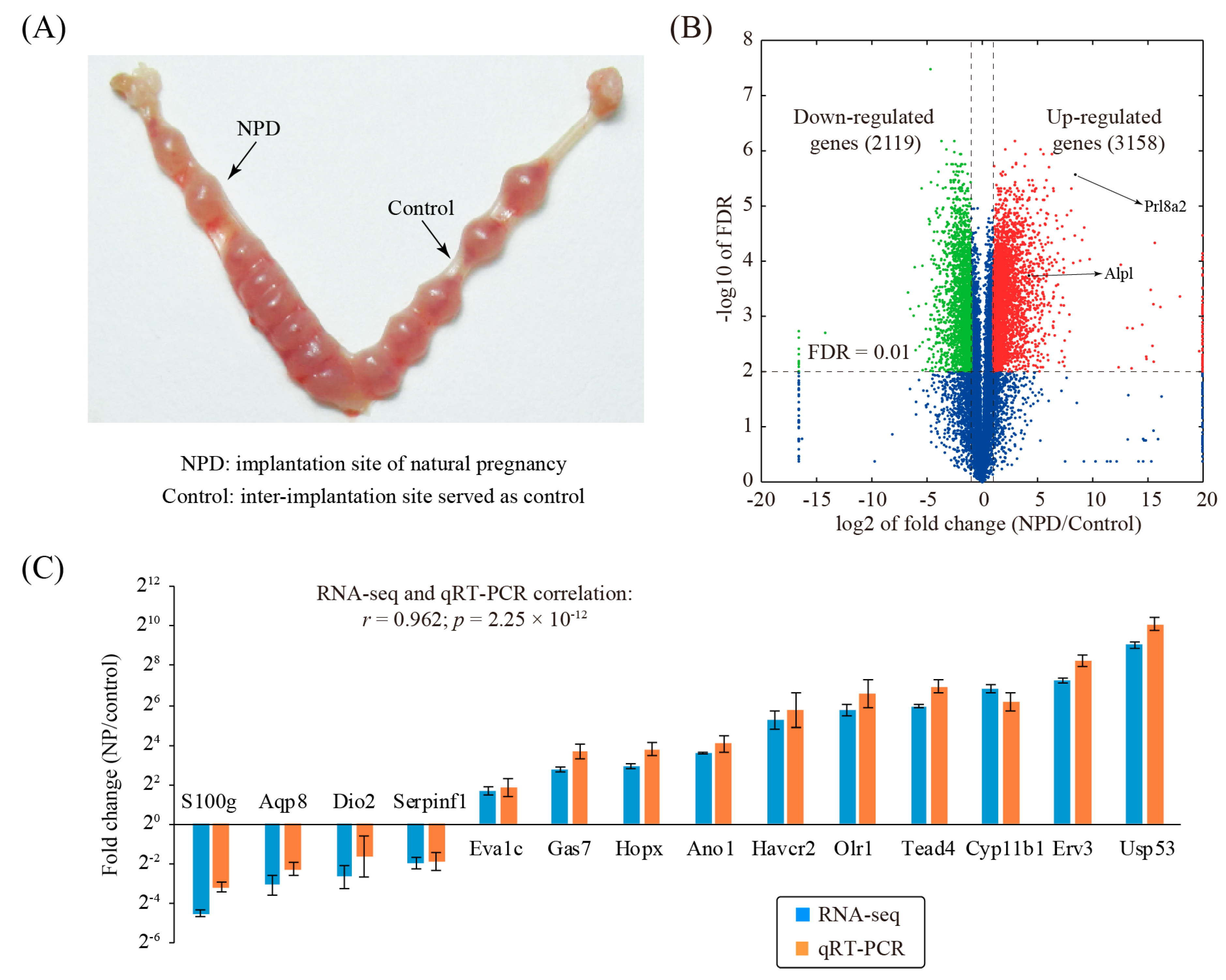 Genes 11 00935 g001 Genes 11 00935 g001