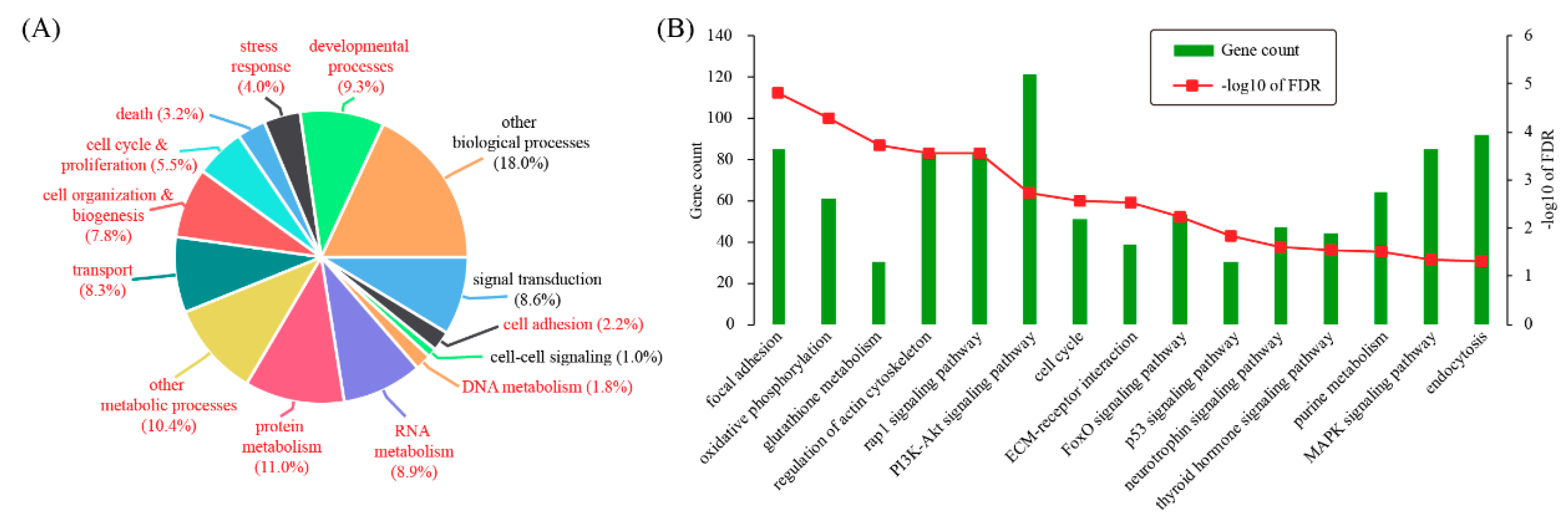 Genes 11 00935 g002 Genes 11 00935 g002