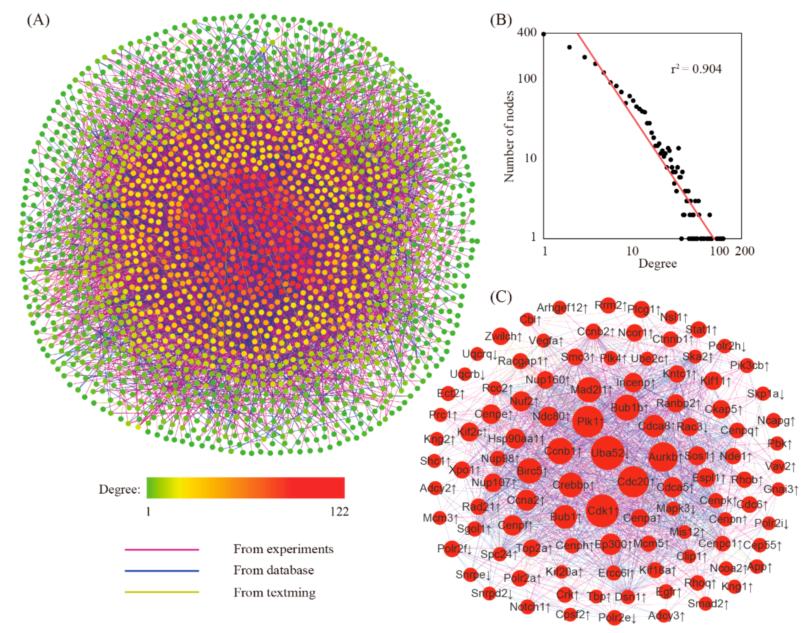 Genes 11 00935 g003 Genes 11 00935 g003