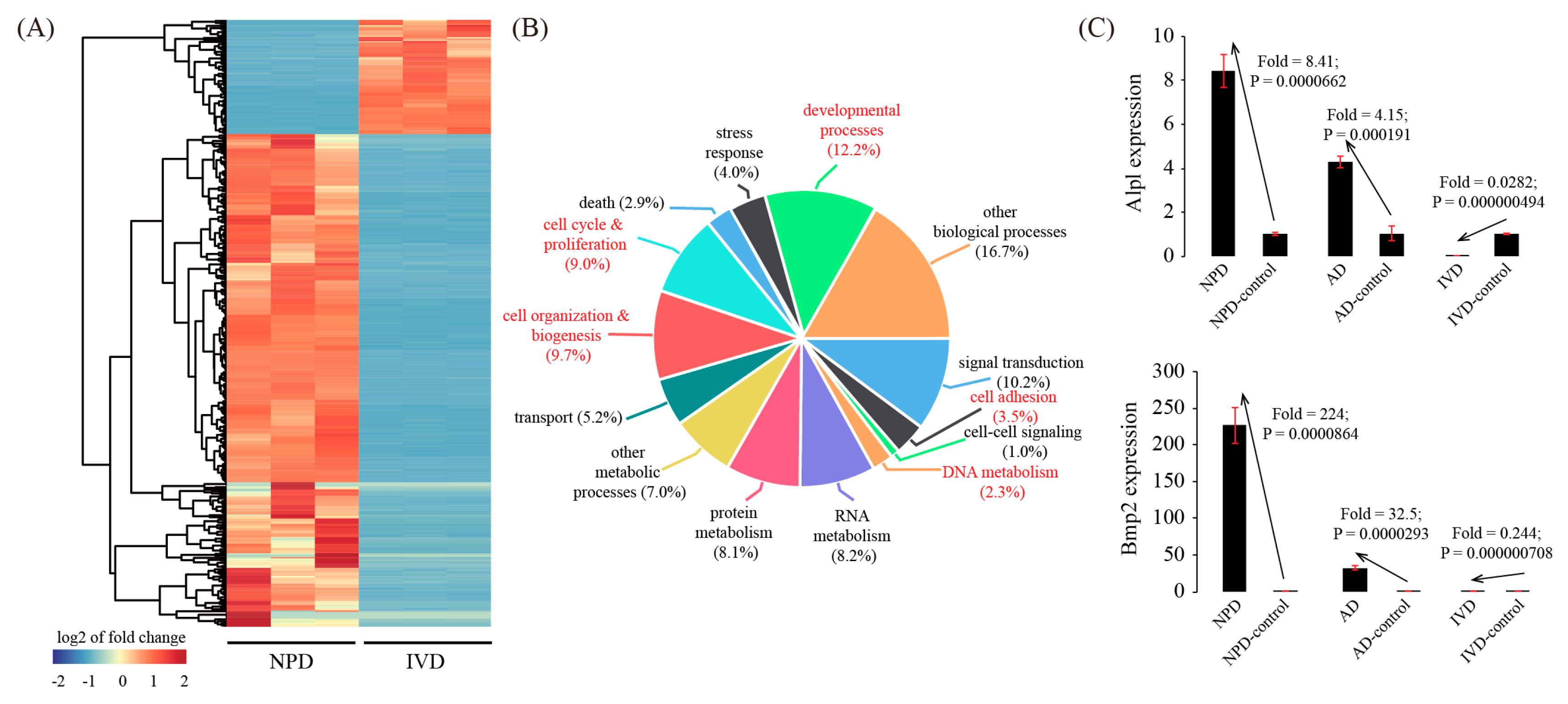 Genes 11 00935 g007 Genes 11 00935 g007