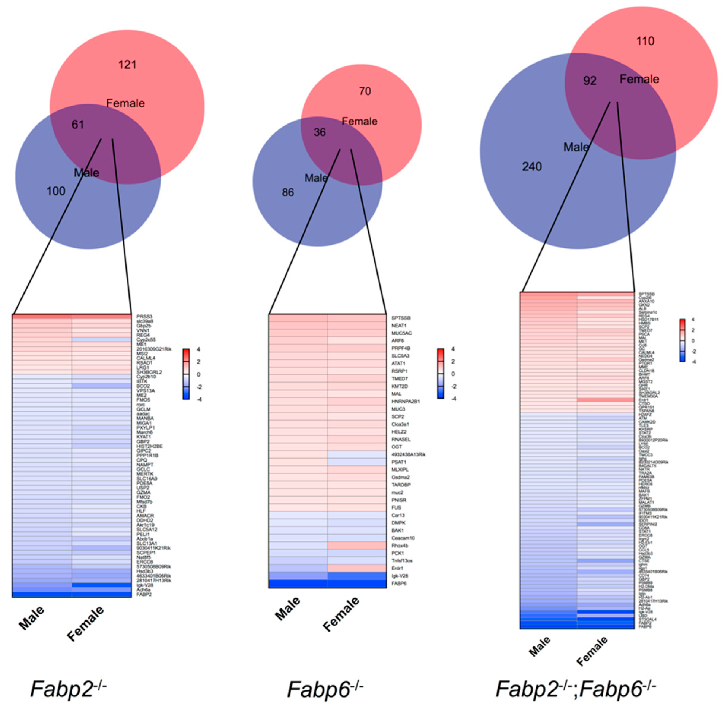 Genes 11 00943 g002 Genes 11 00943 g002