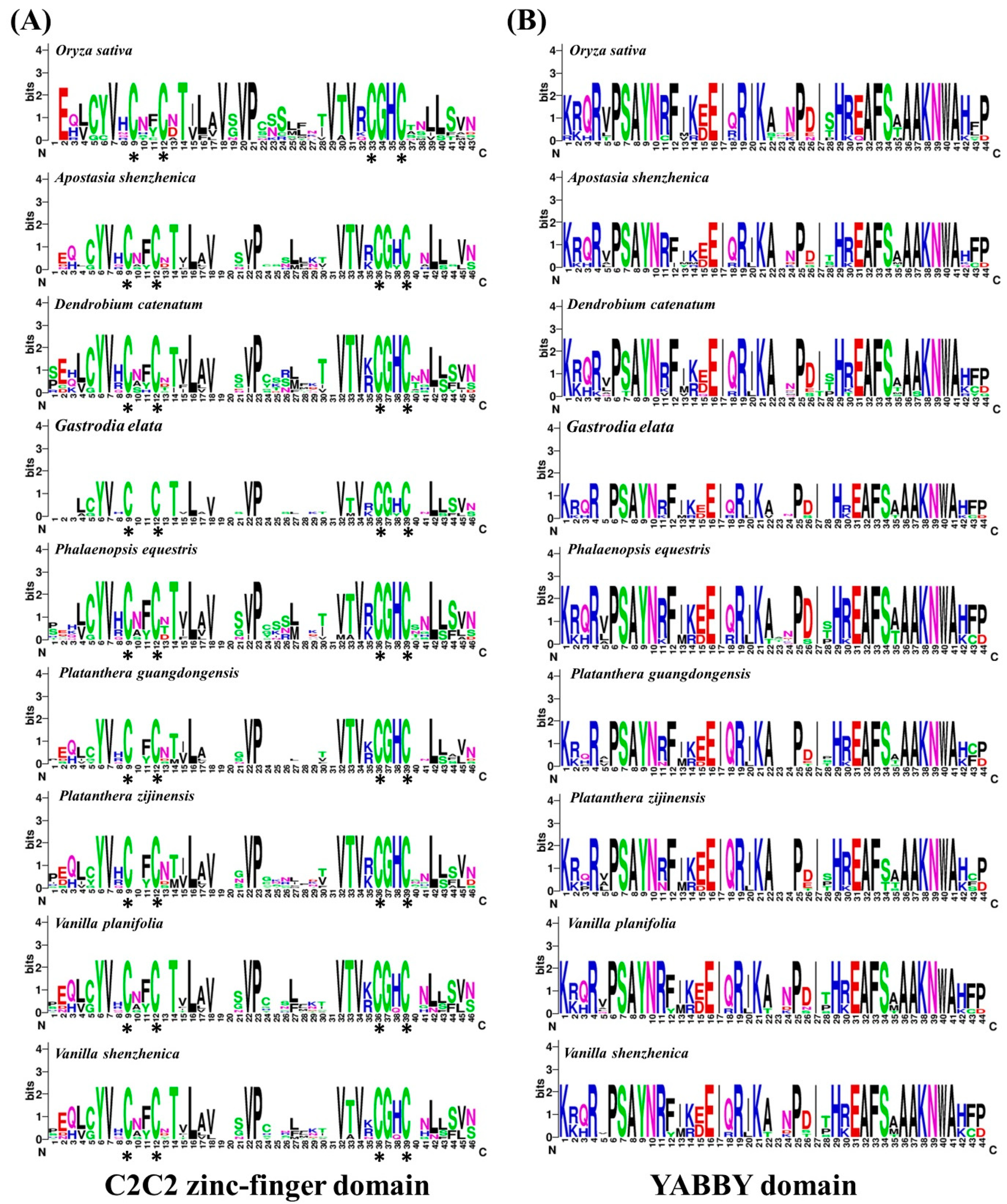 Genes 11 00955 g002 Genes 11 00955 g002