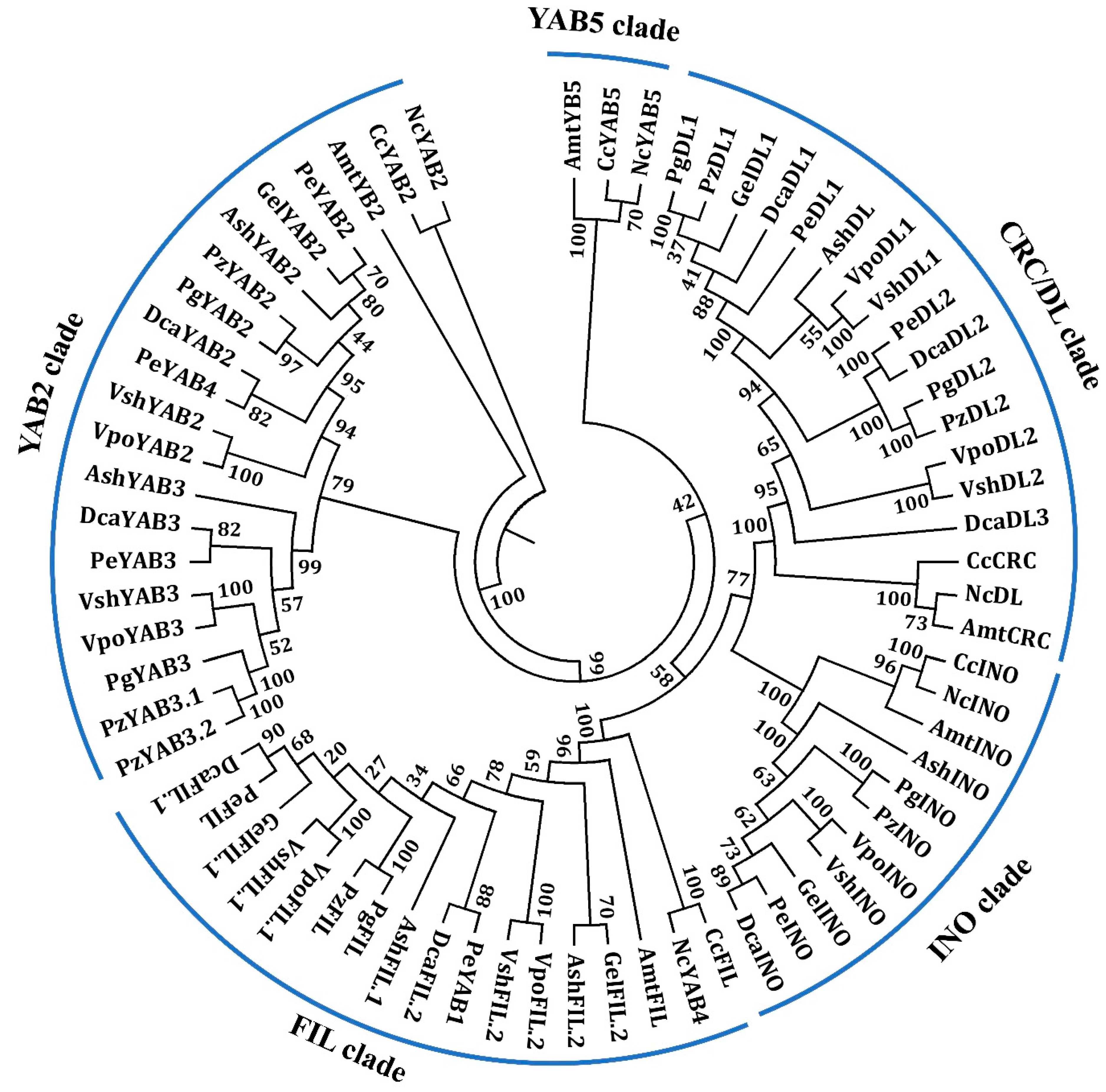 Genes 11 00955 g003 Genes 11 00955 g003