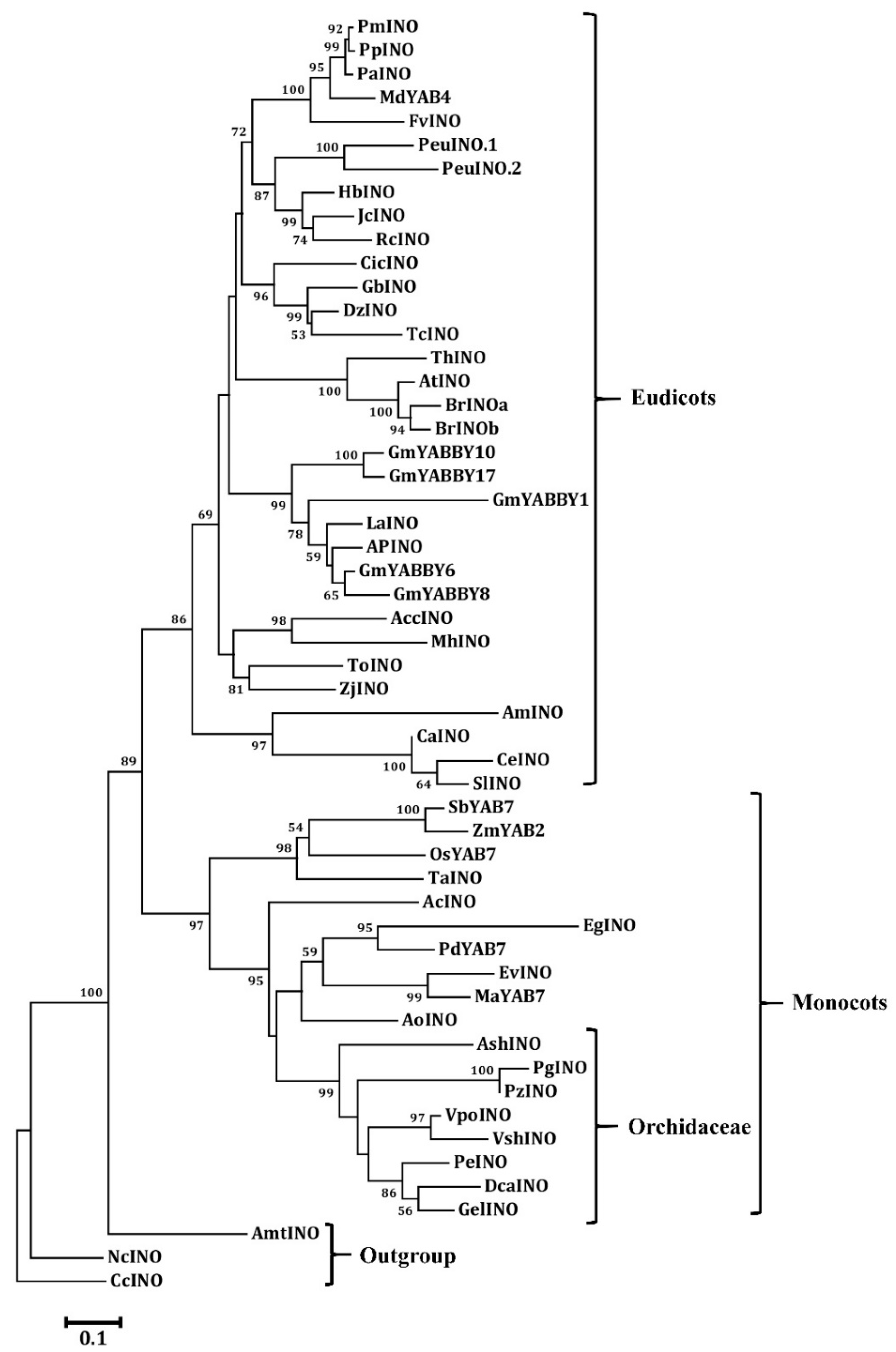 Genes 11 00955 g005 Genes 11 00955 g005