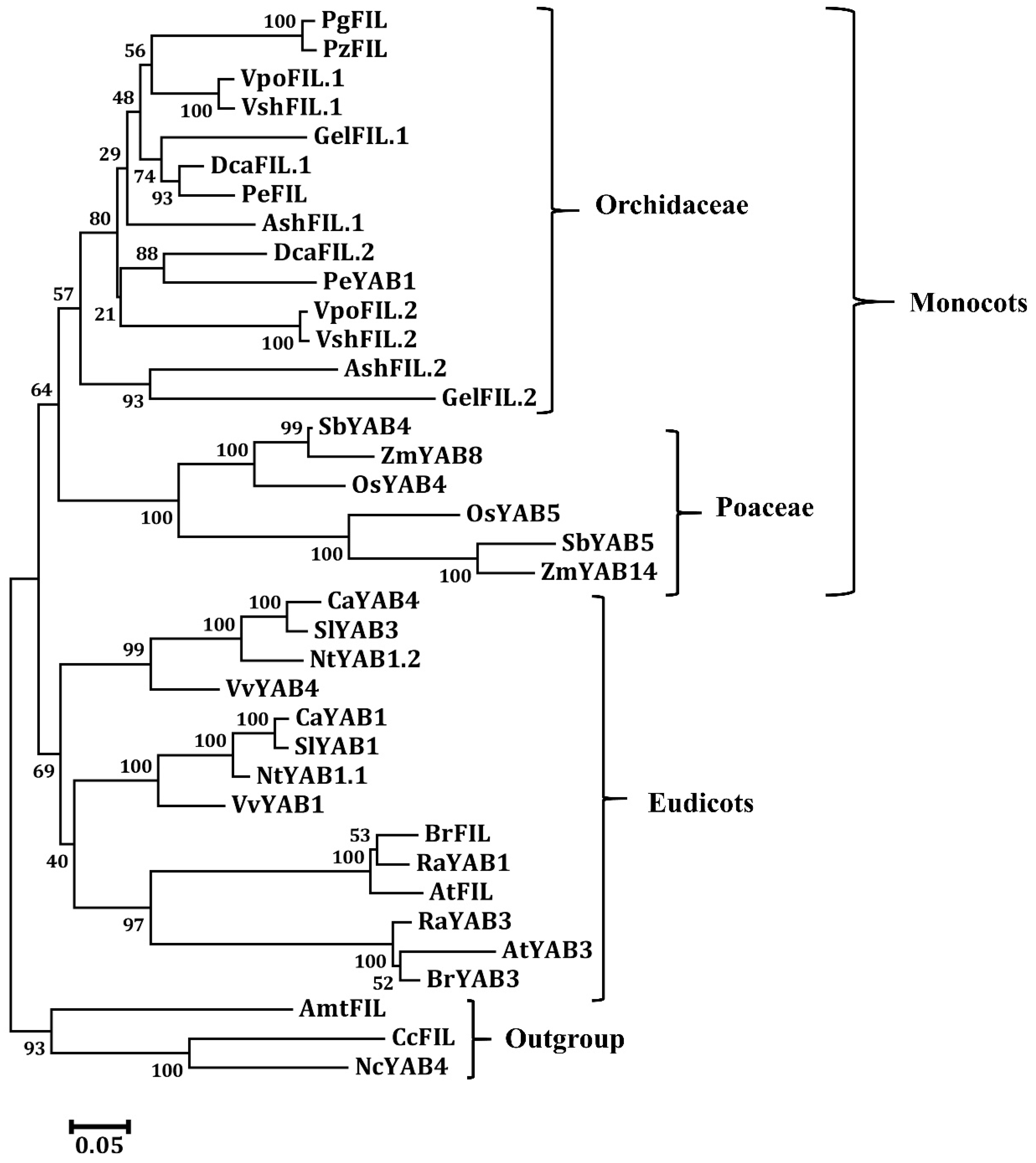 Genes 11 00955 g007 Genes 11 00955 g007