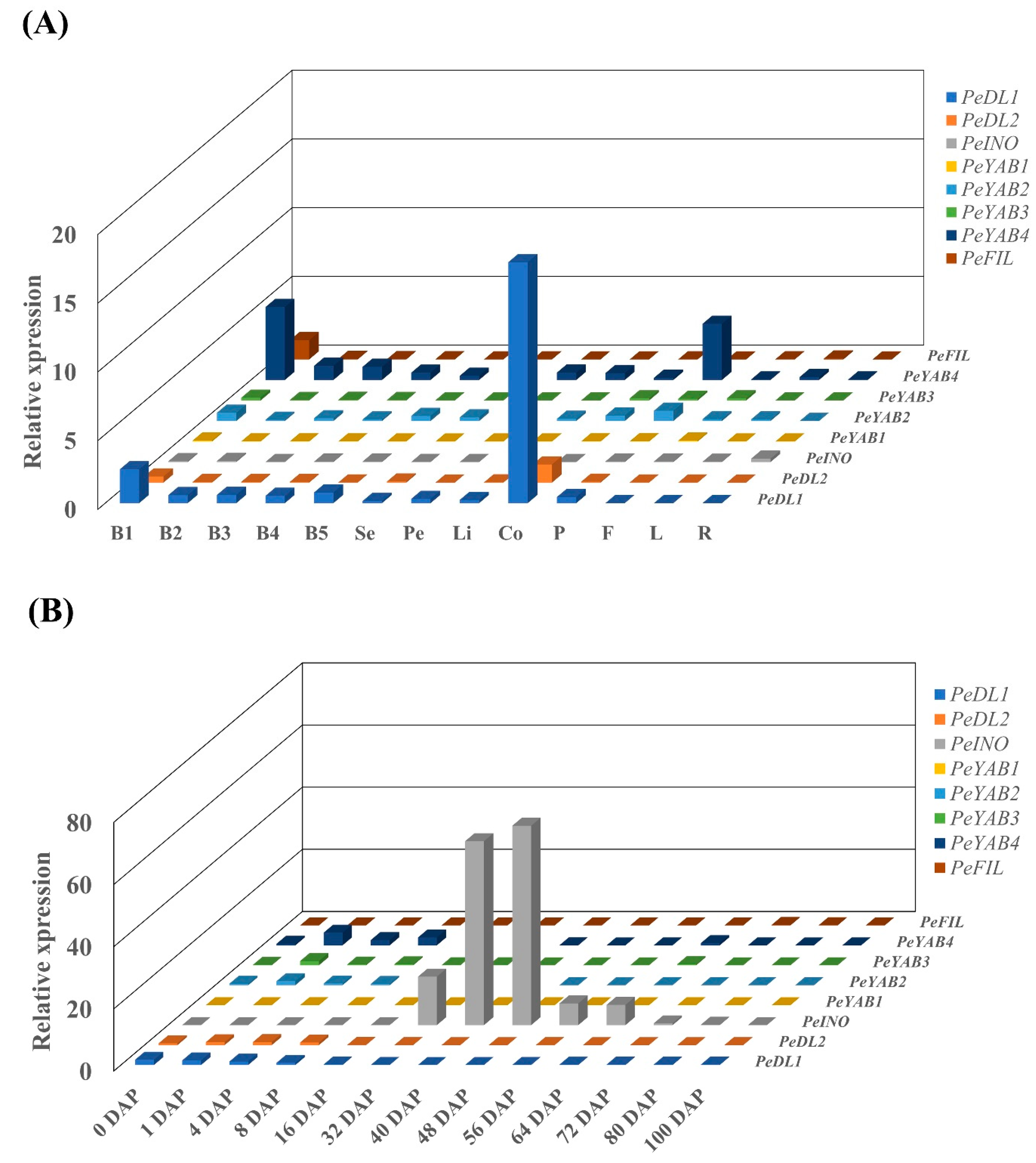 Genes 11 00955 g008 Genes 11 00955 g008