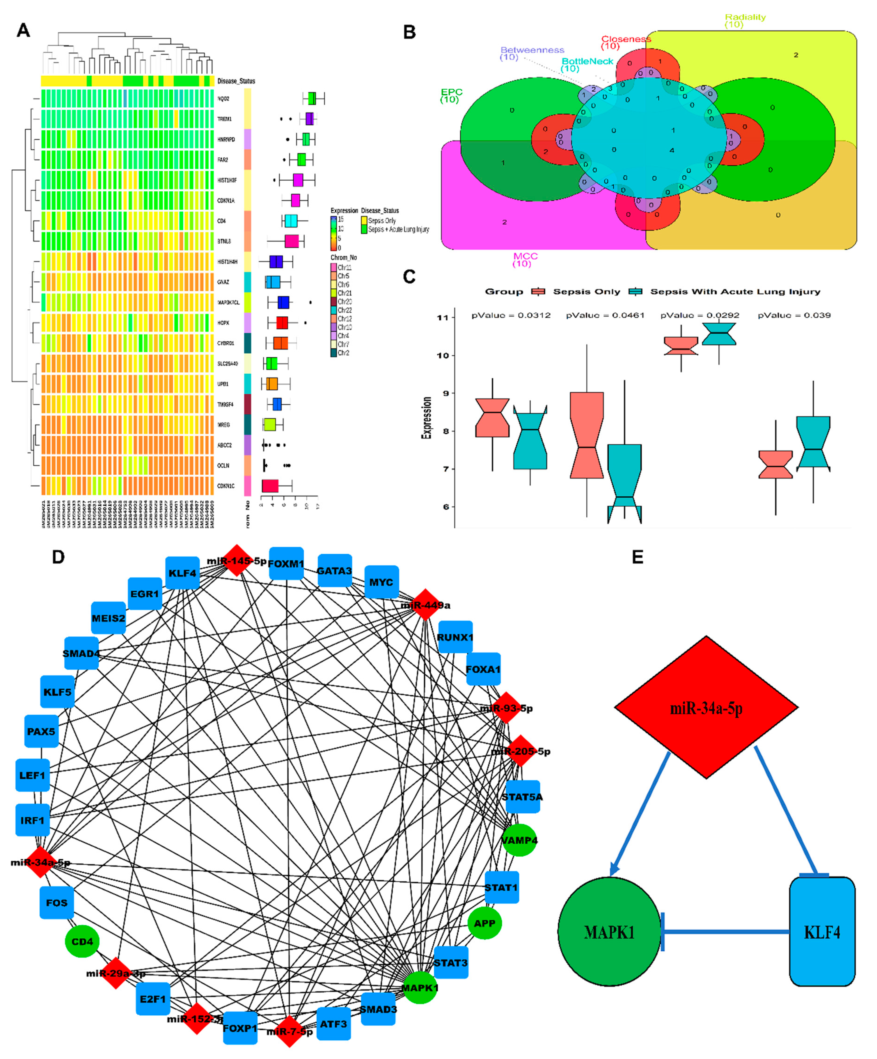 Genes 11 00966 g001