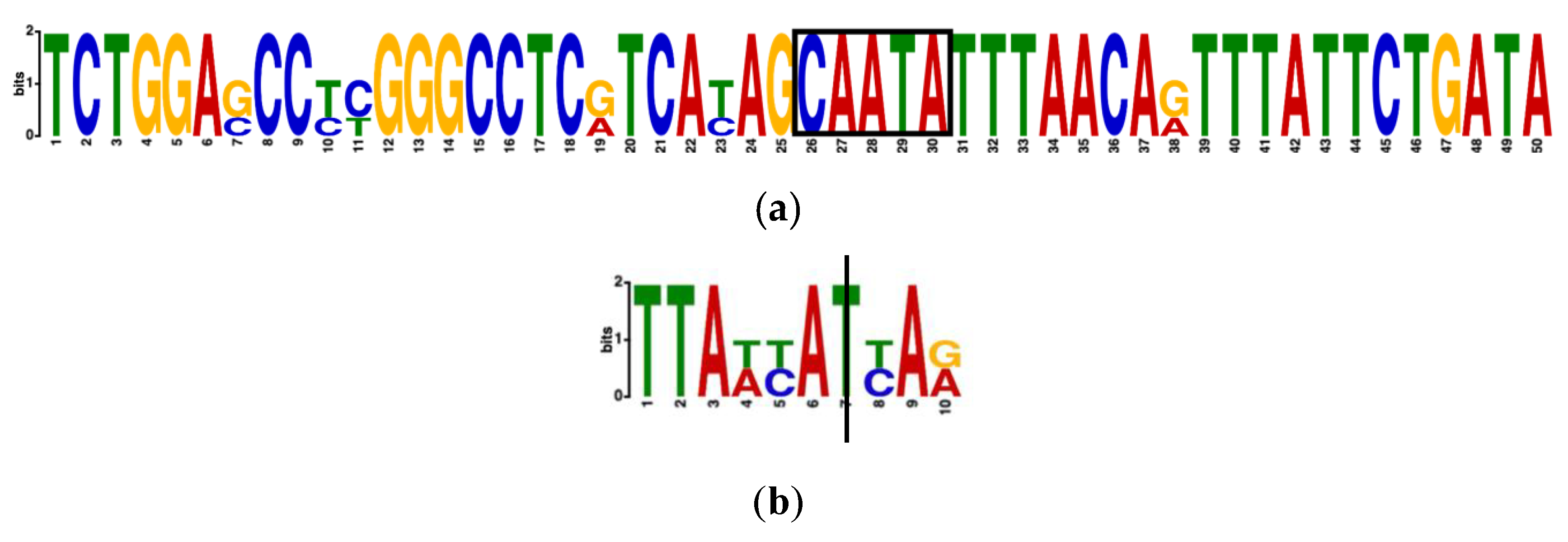 Genes 11 00998 g005