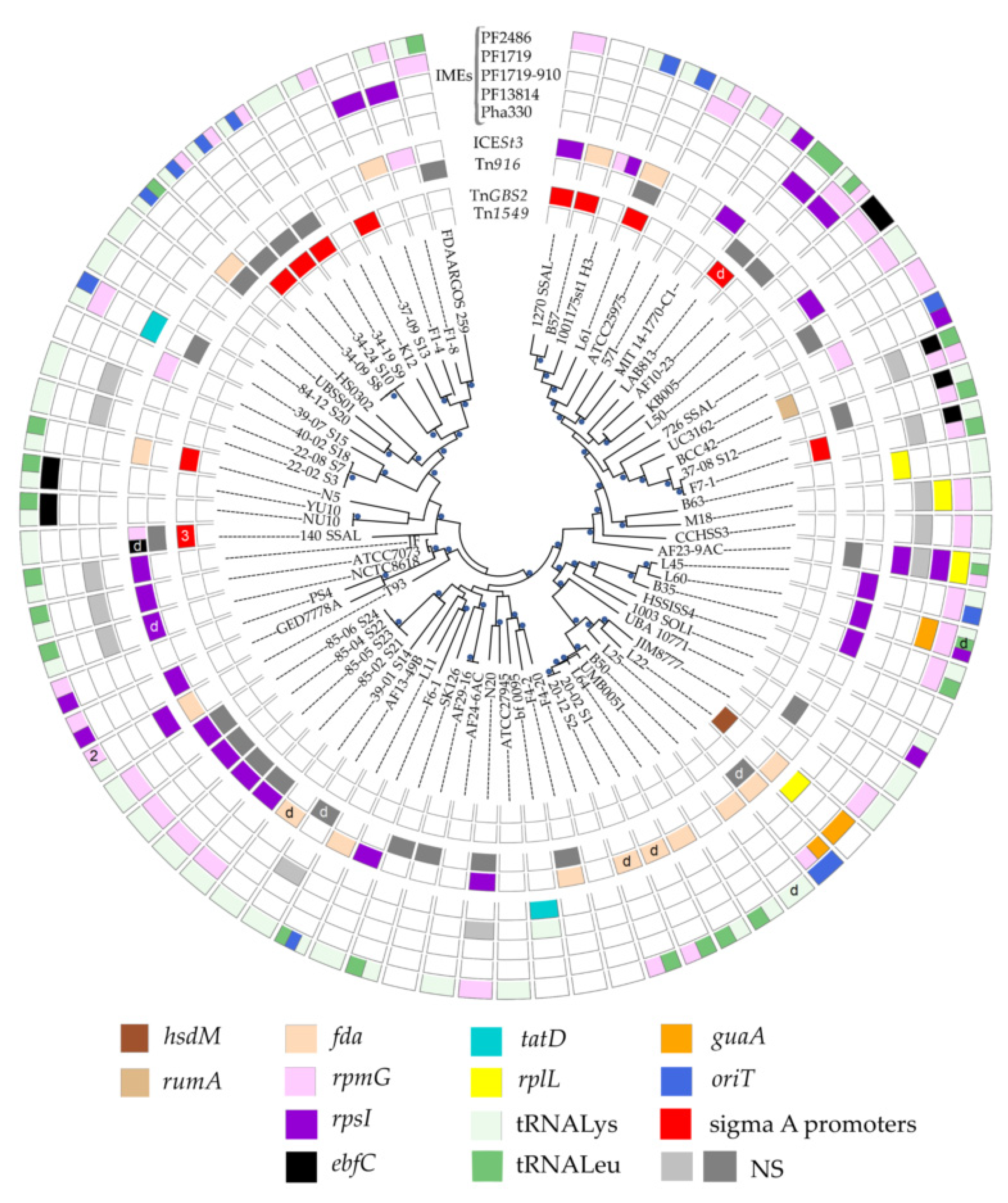 Genes 11 00999 g001 Genes 11 00999 g001