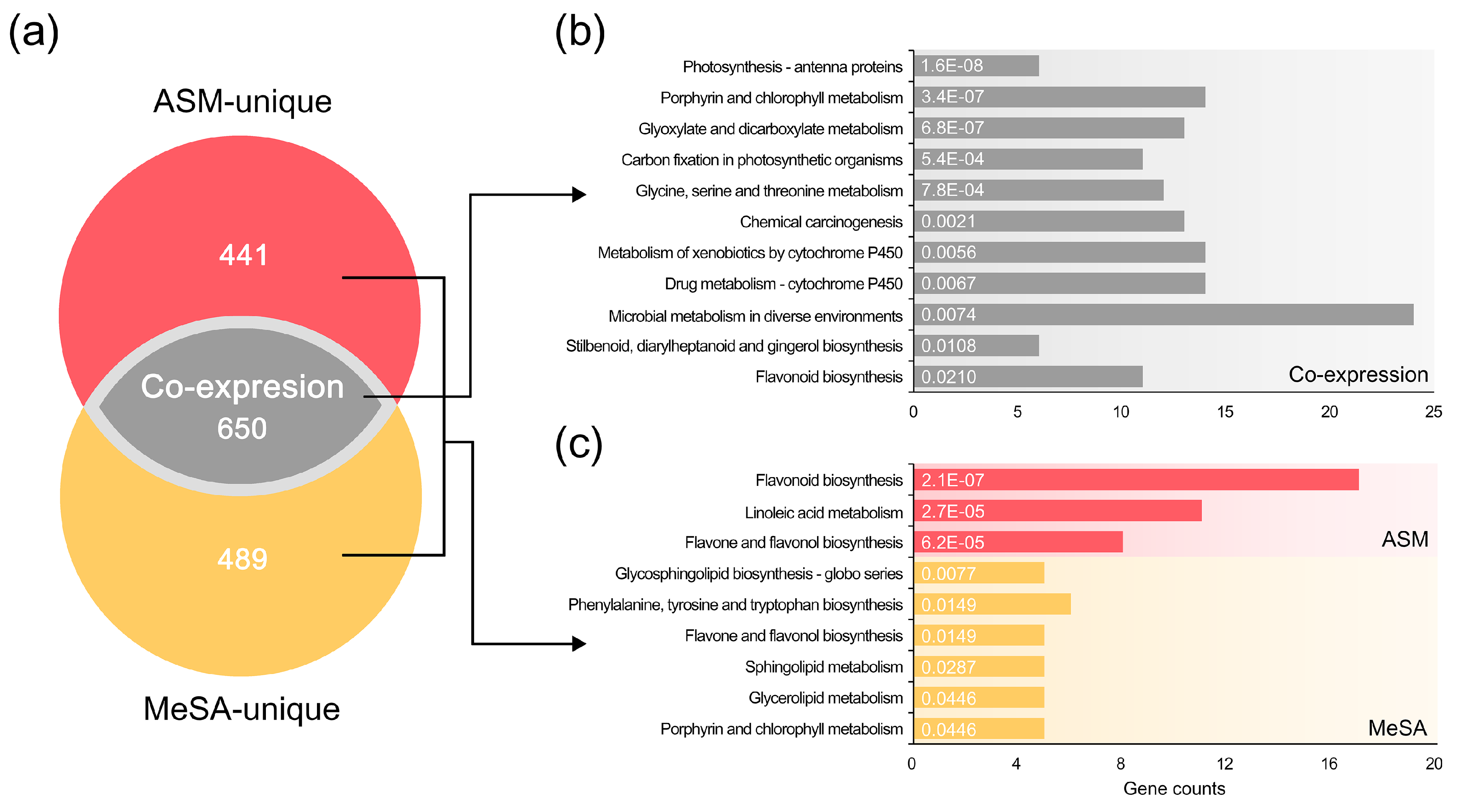 Genes 11 01000 g003 Genes 11 01000 g003