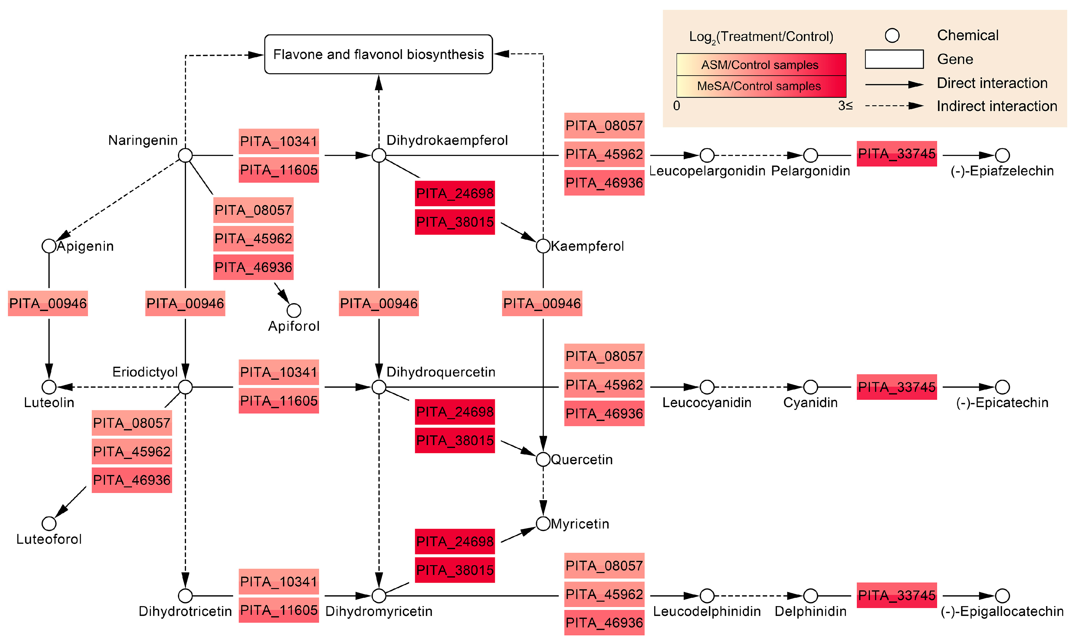 Genes 11 01000 g005 Genes 11 01000 g005