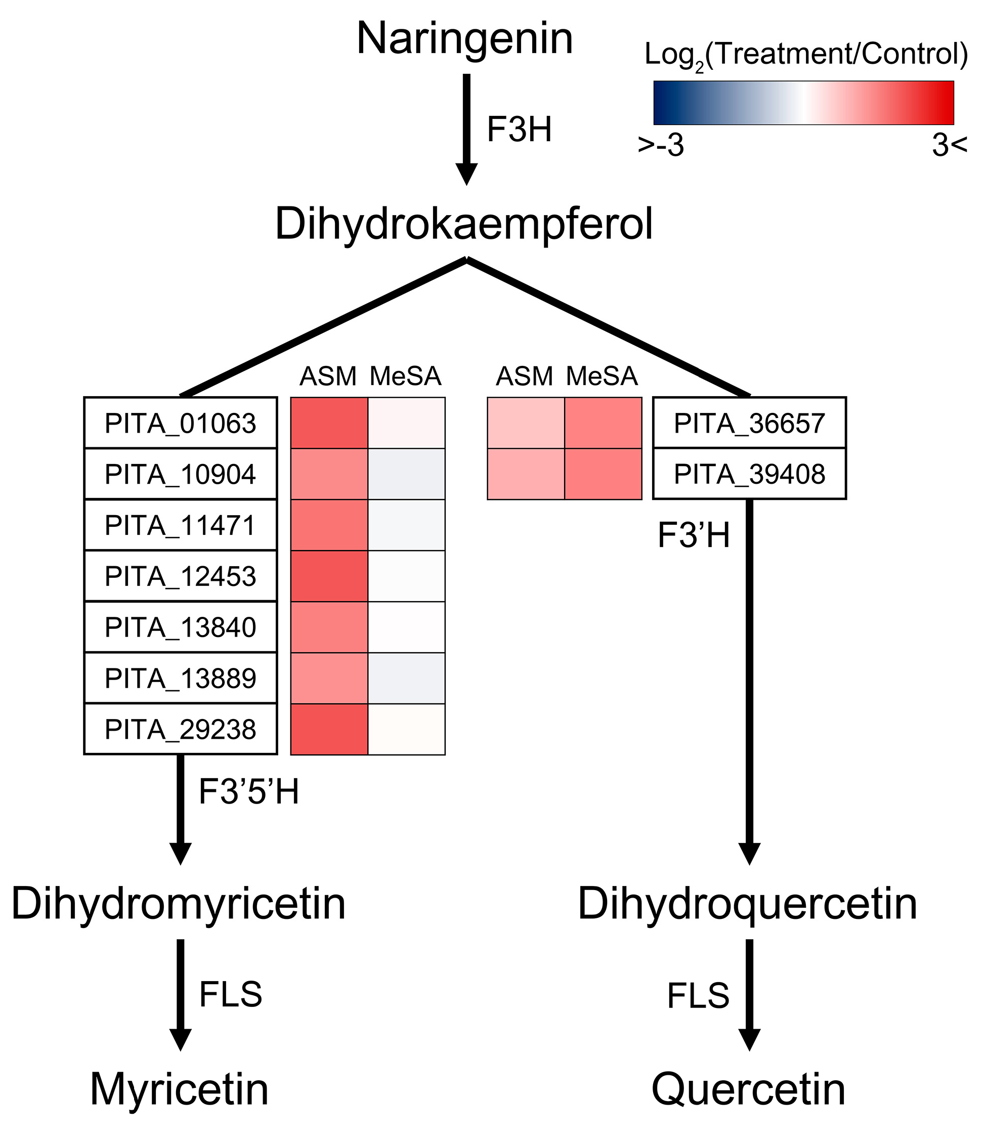 Genes 11 01000 g006 Genes 11 01000 g006