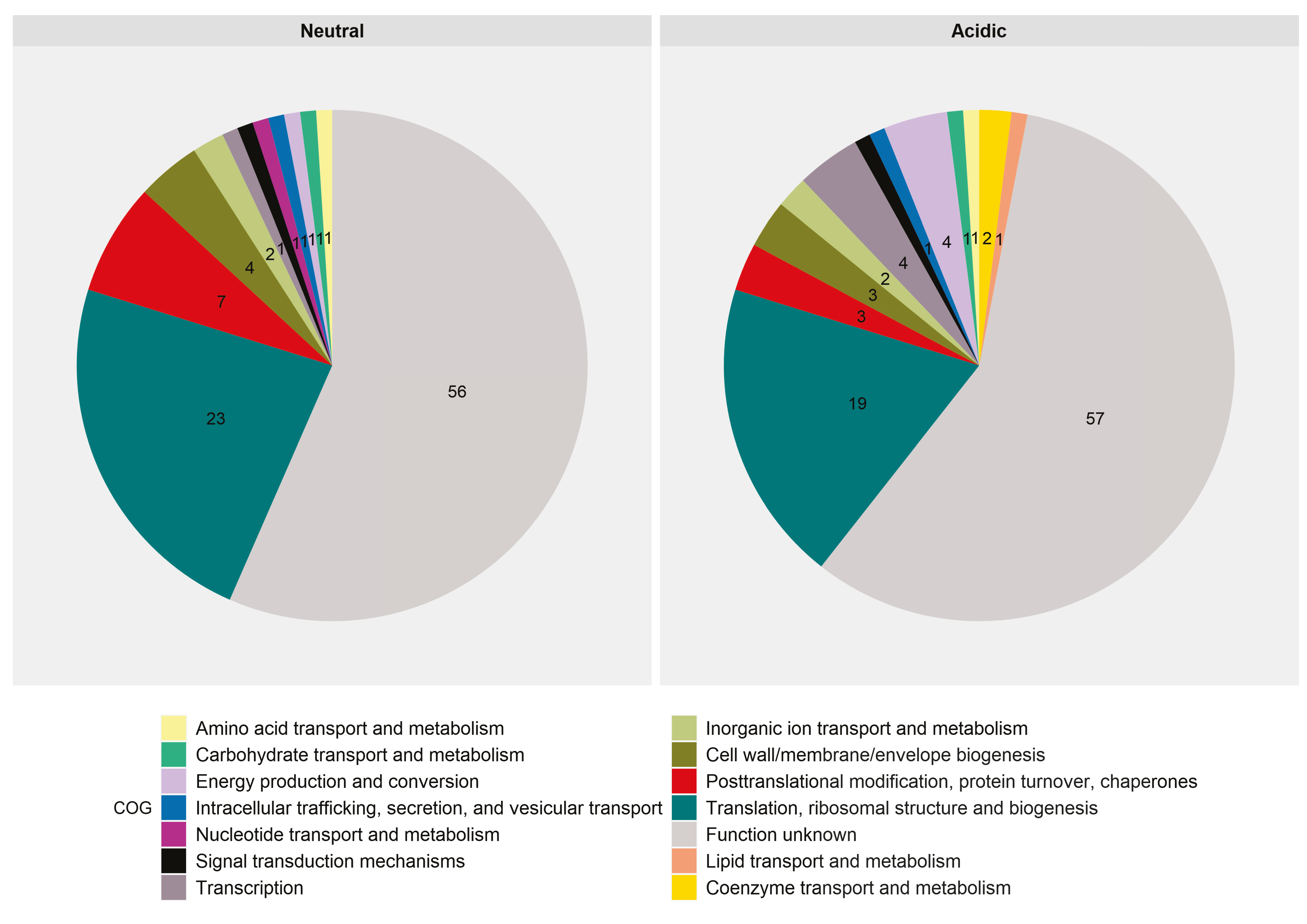 Genes Free Full Text The Acidic Stress Response Of The Intracellular Pathogen Brucella Melitensis New Insights From A Comparative Genome Wide Transcriptome Analysis Html