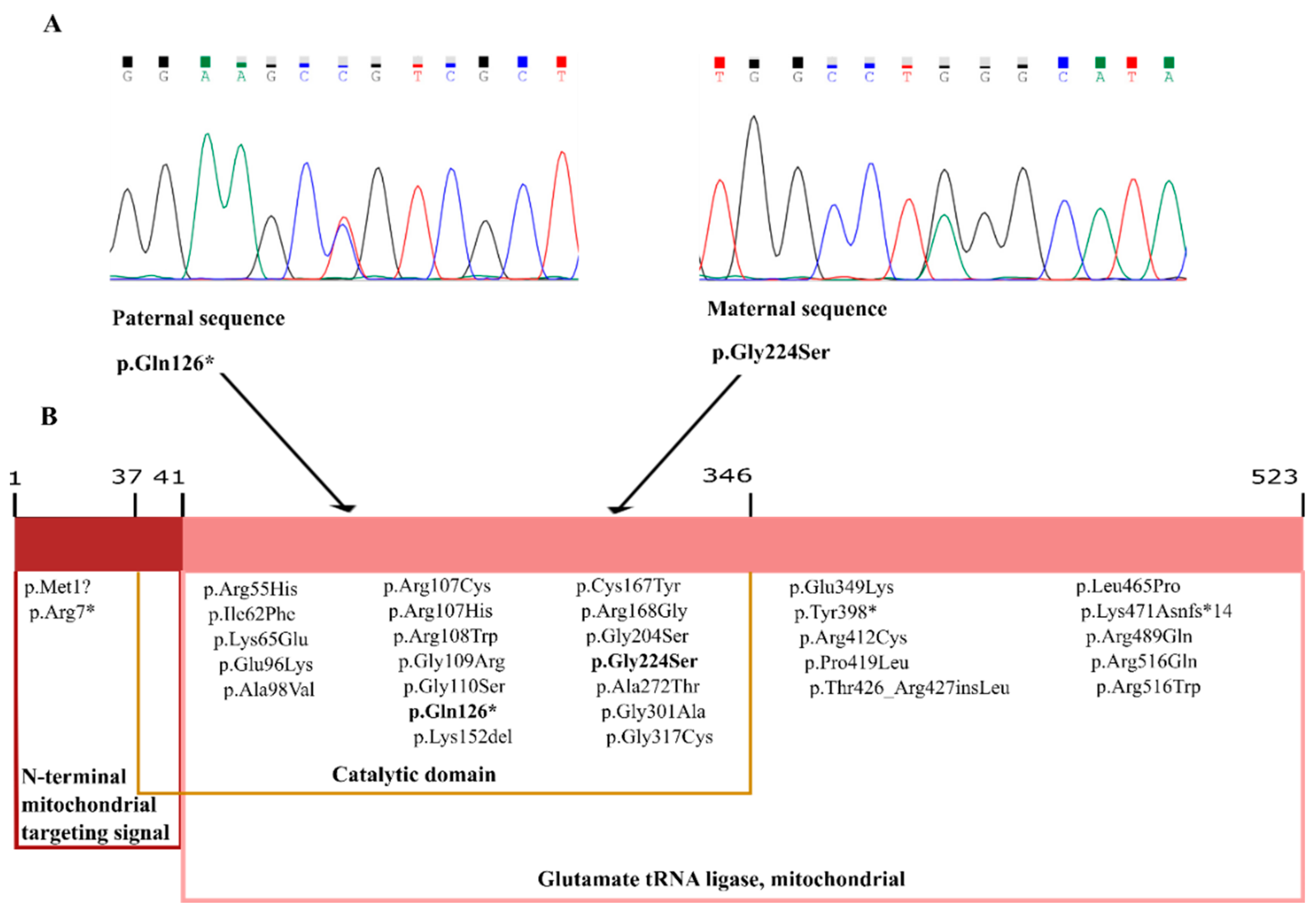 Genes 11 01028 g001 Genes 11 01028 g001