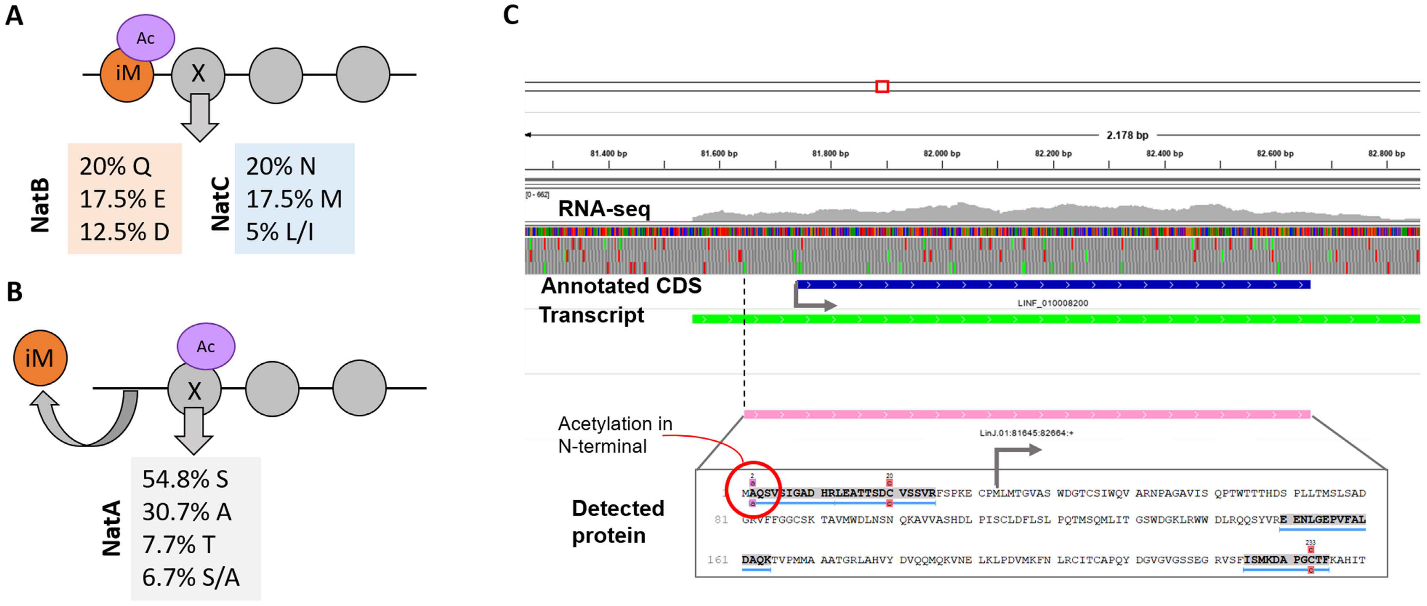Genes 11 01036 g005
