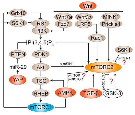 C-THR86-2211 Valid Test Test