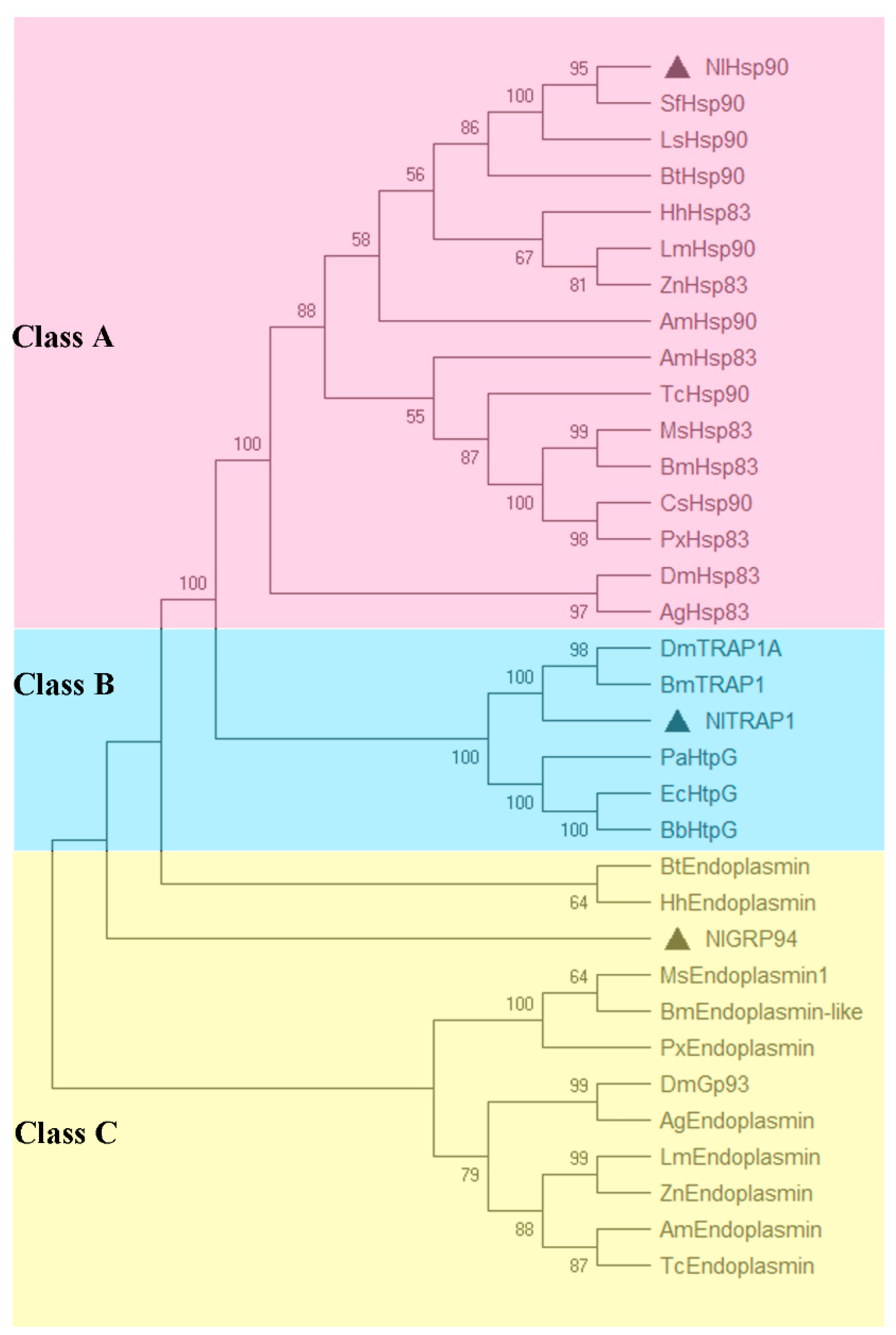 Genes 11 01074 g002